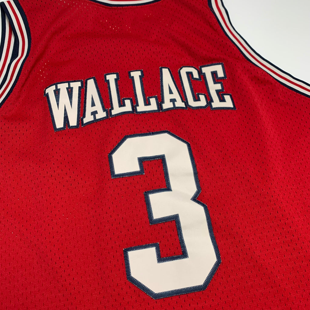 Vintage Nike Detroit Pistons Ben Wallace Jersey XL