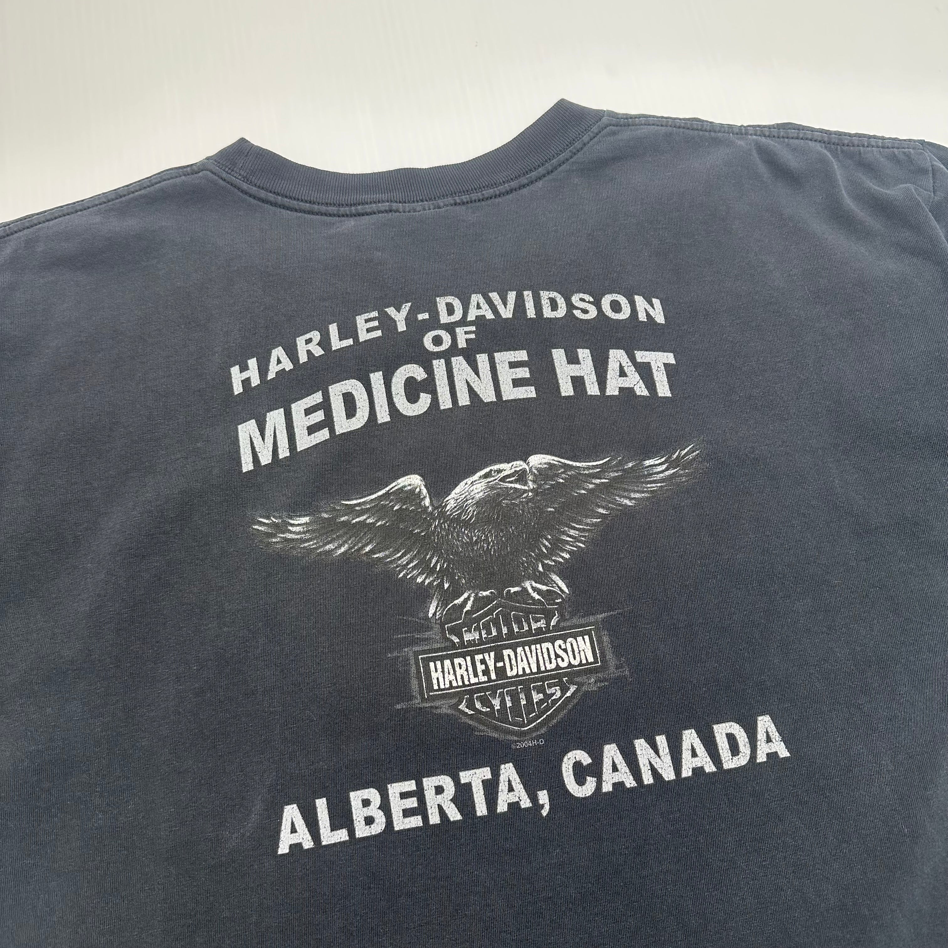2004 Harley Davidson Medicine Hat Eagle Tee XXL