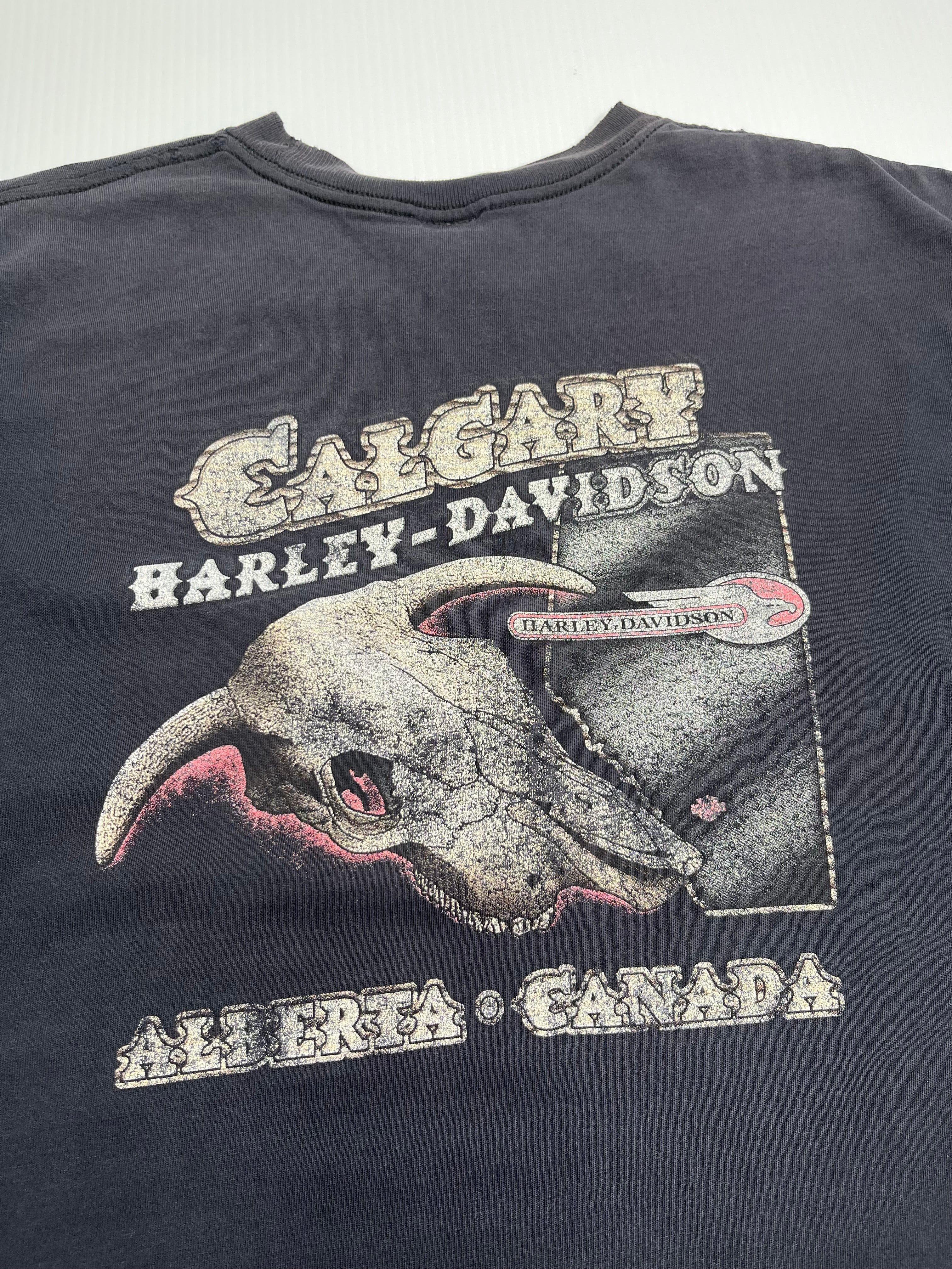 Vintage Harley Davidson Calgary Distressed Tee XL