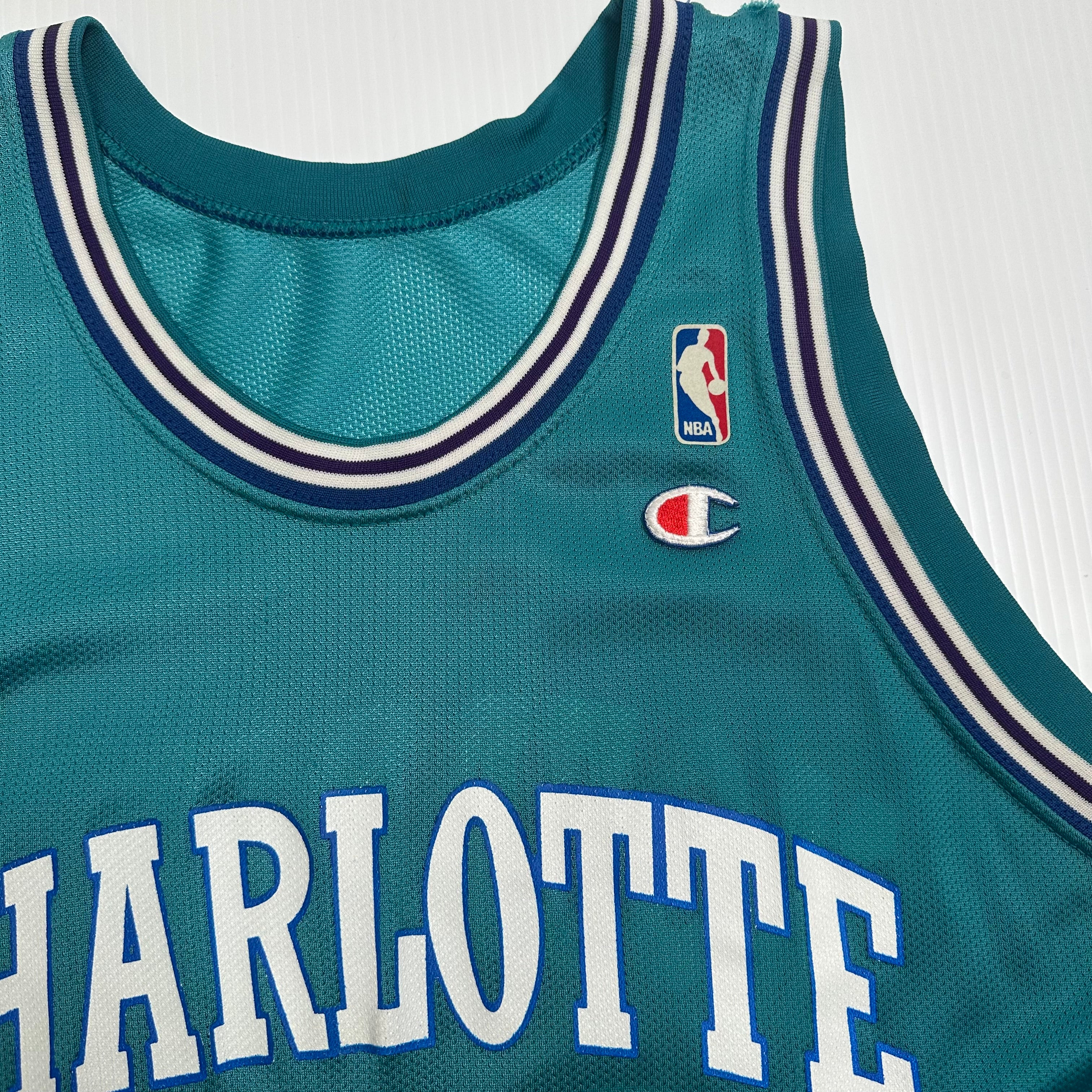 90s Champion Charlotte Hornets Alonzo Mourning #33 Jersey XL