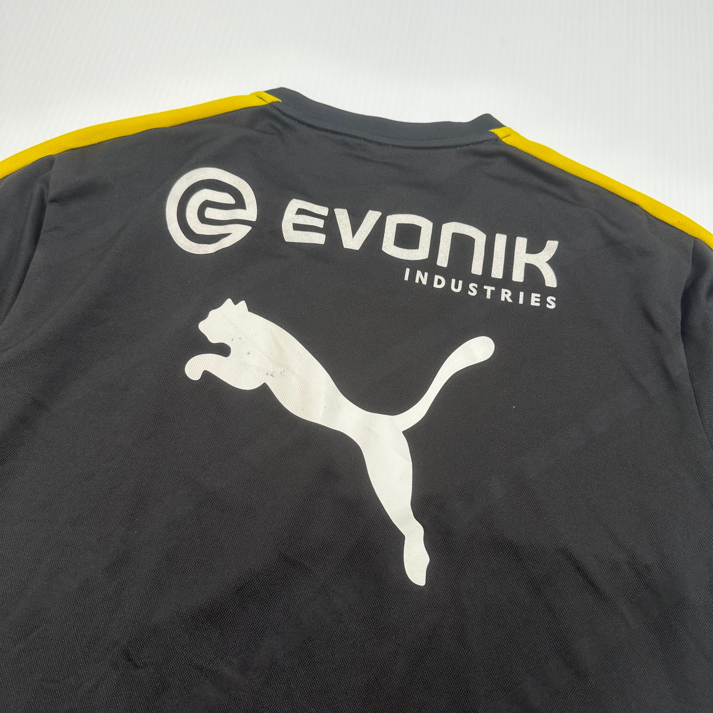 Puma Dortmund Training Kit XL