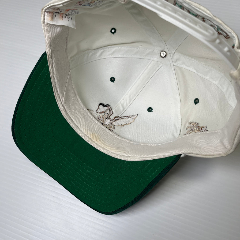 90s American Needle Wile E Coyote Blockhead Snapback Hat