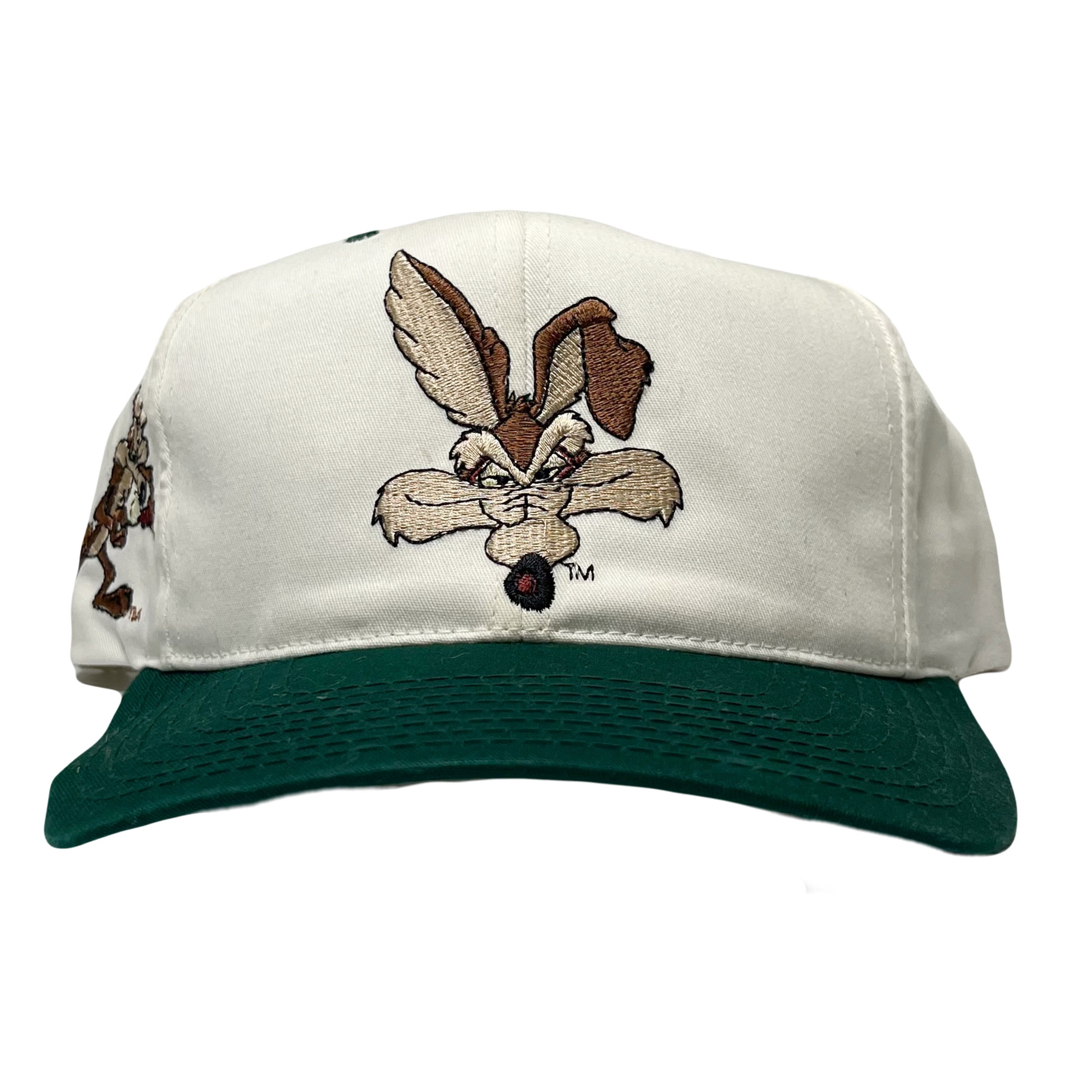 90s American Needle Wile E Coyote Blockhead Snapback Hat