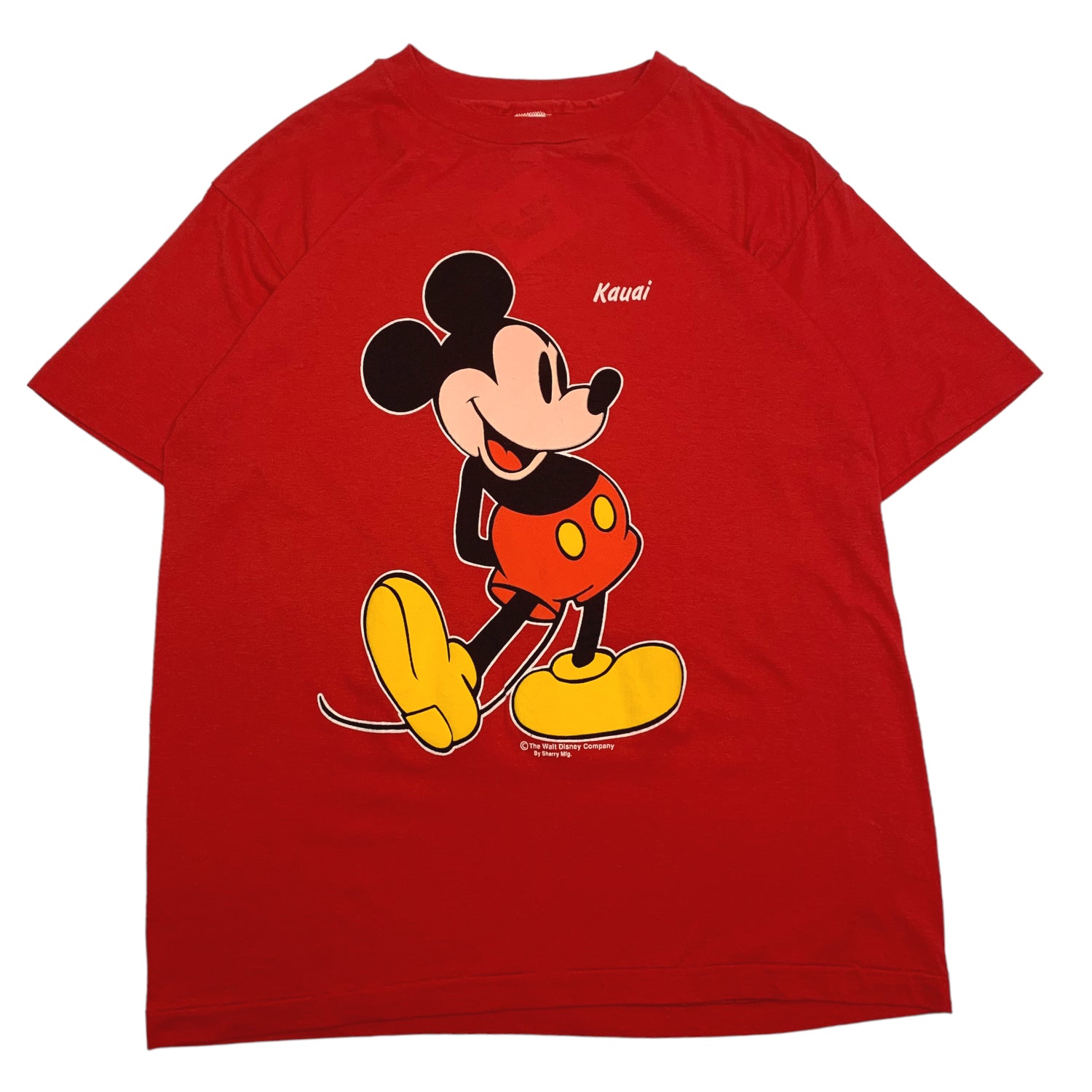 90s Mickey Mouse Kauai Tee L
