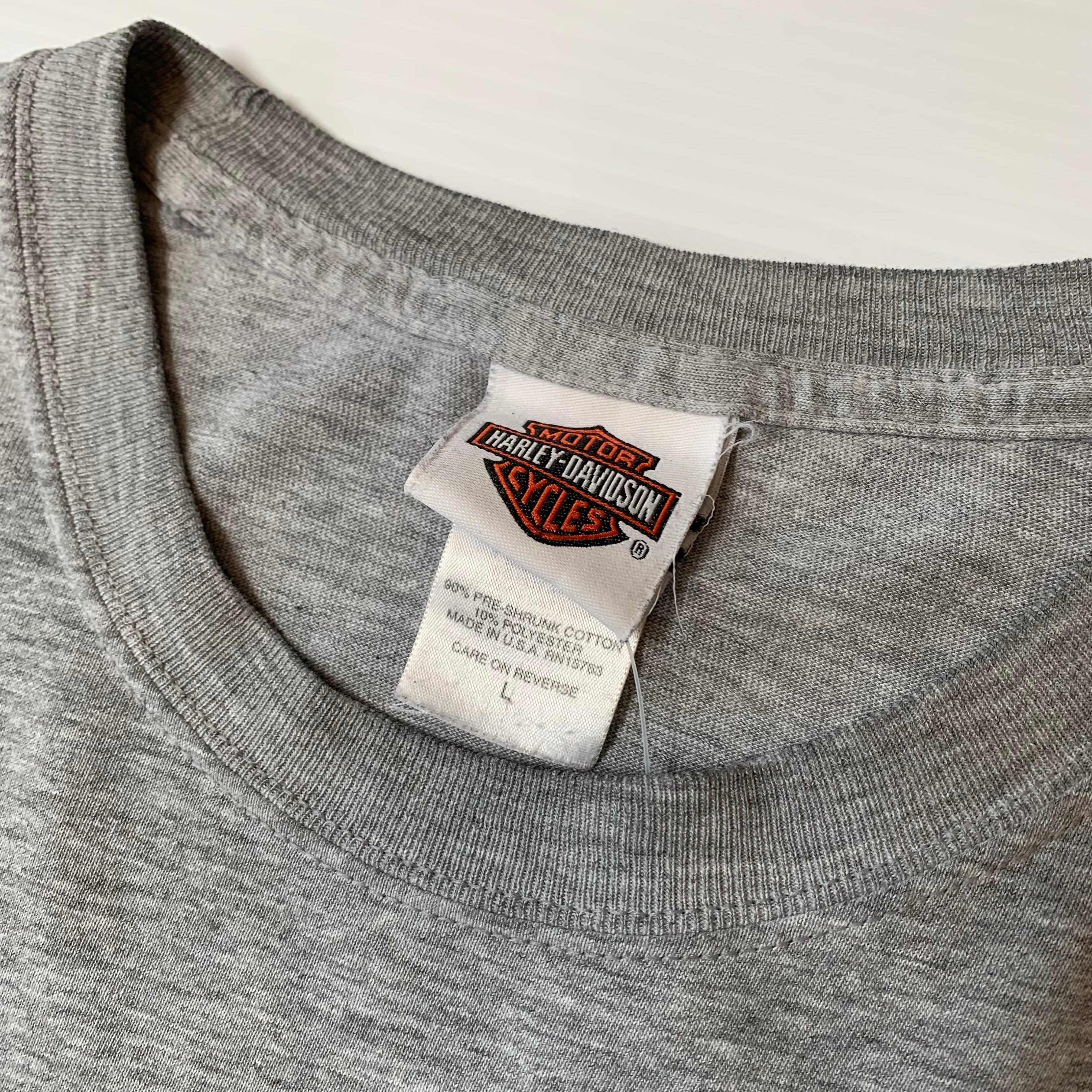 Vintage Harley Davidson South Carolina Skulls Longsleeve L