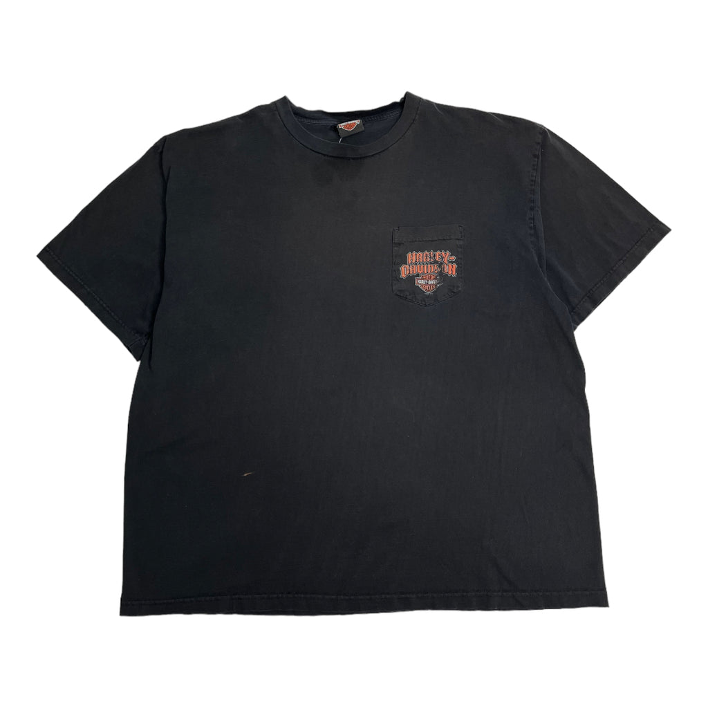 Harley Davidson Coziahr Decatur Tee 3XL