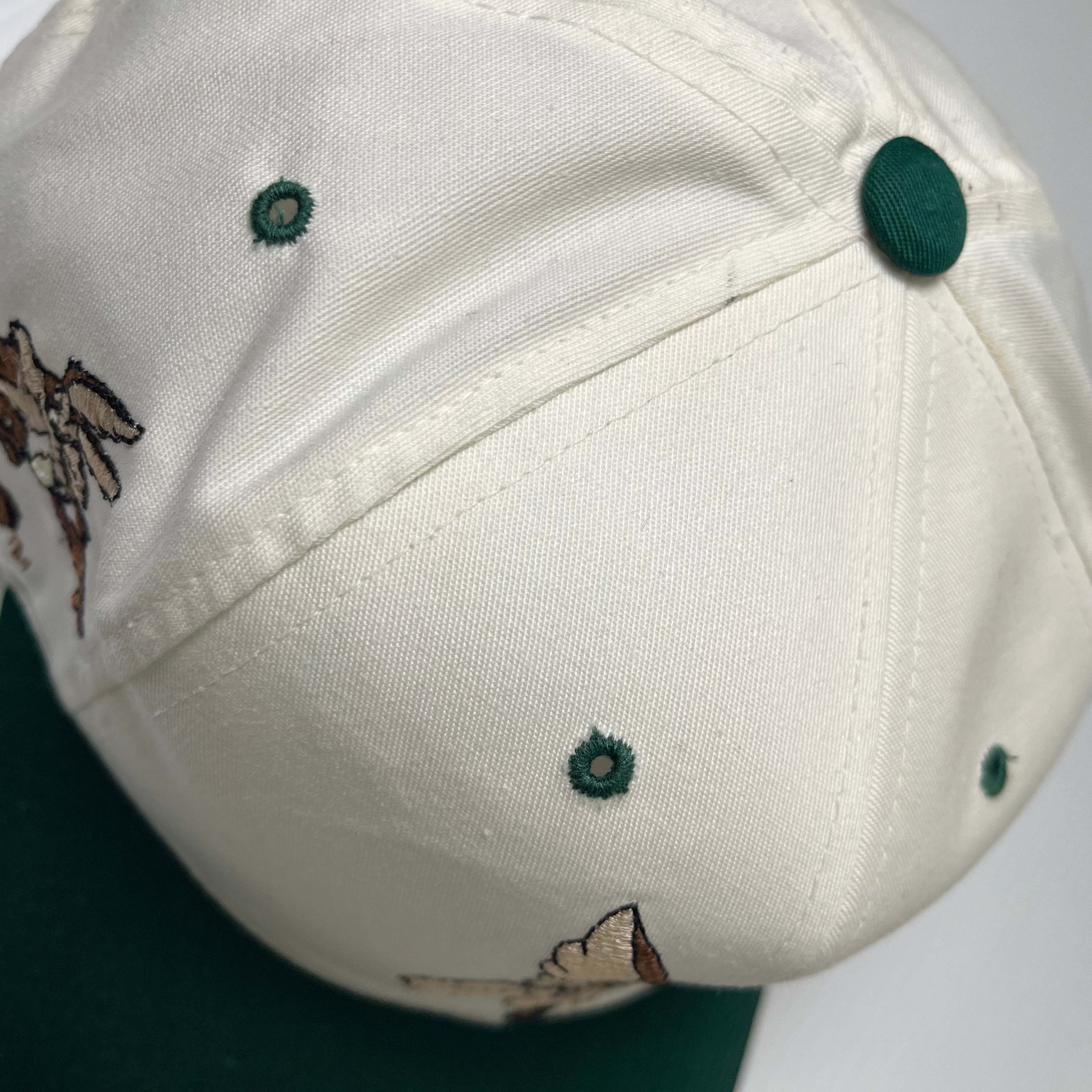 90s American Needle Wile E Coyote Blockhead Snapback Hat