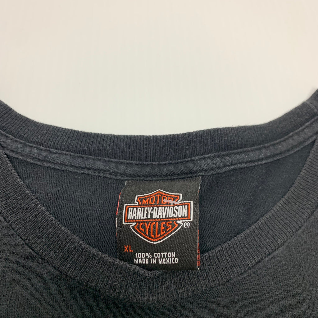 Harley Davidson Passion Freedom tee XL