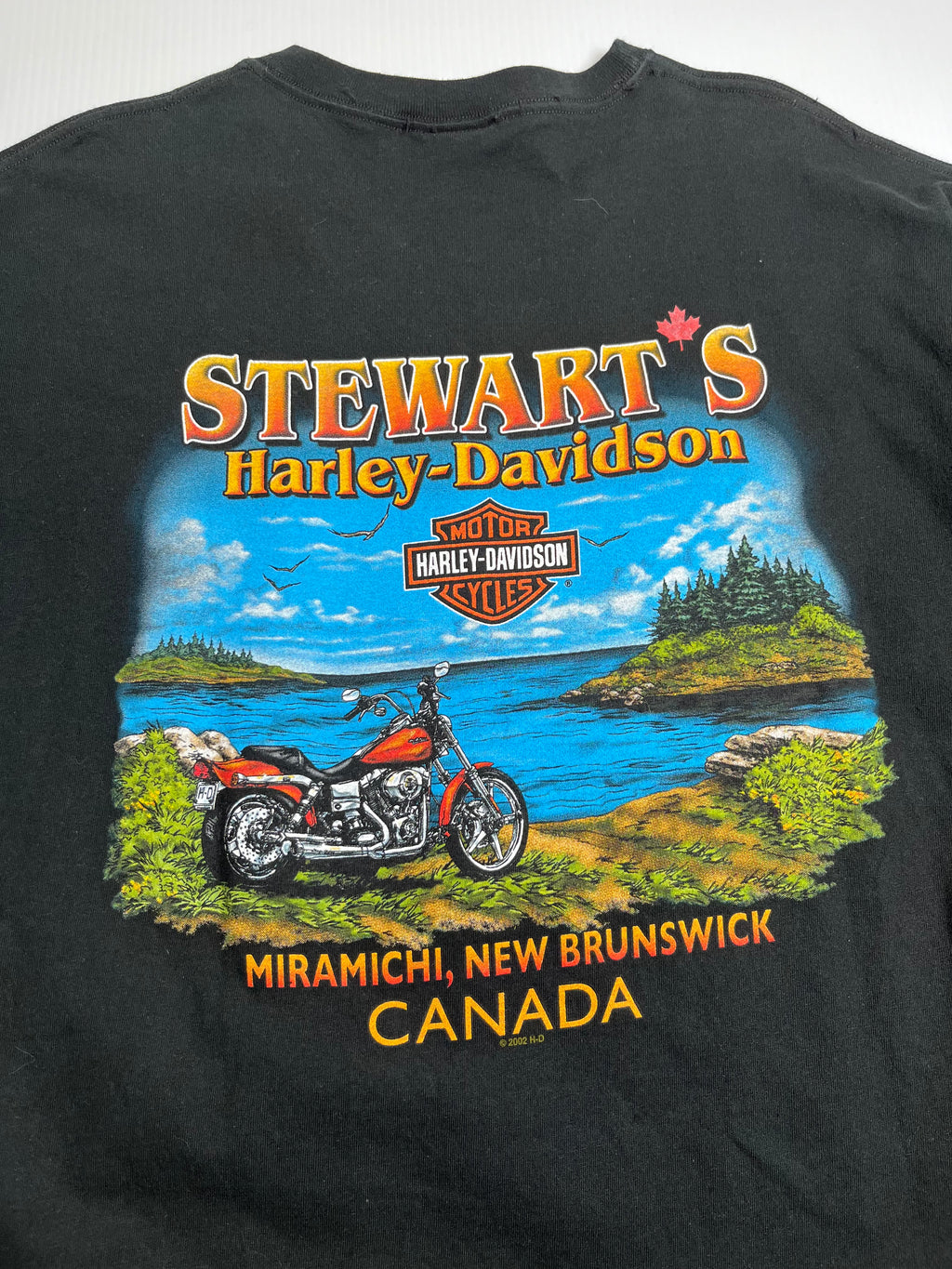 Harley Davidson New Brunswick Velvet Logo Tee XL