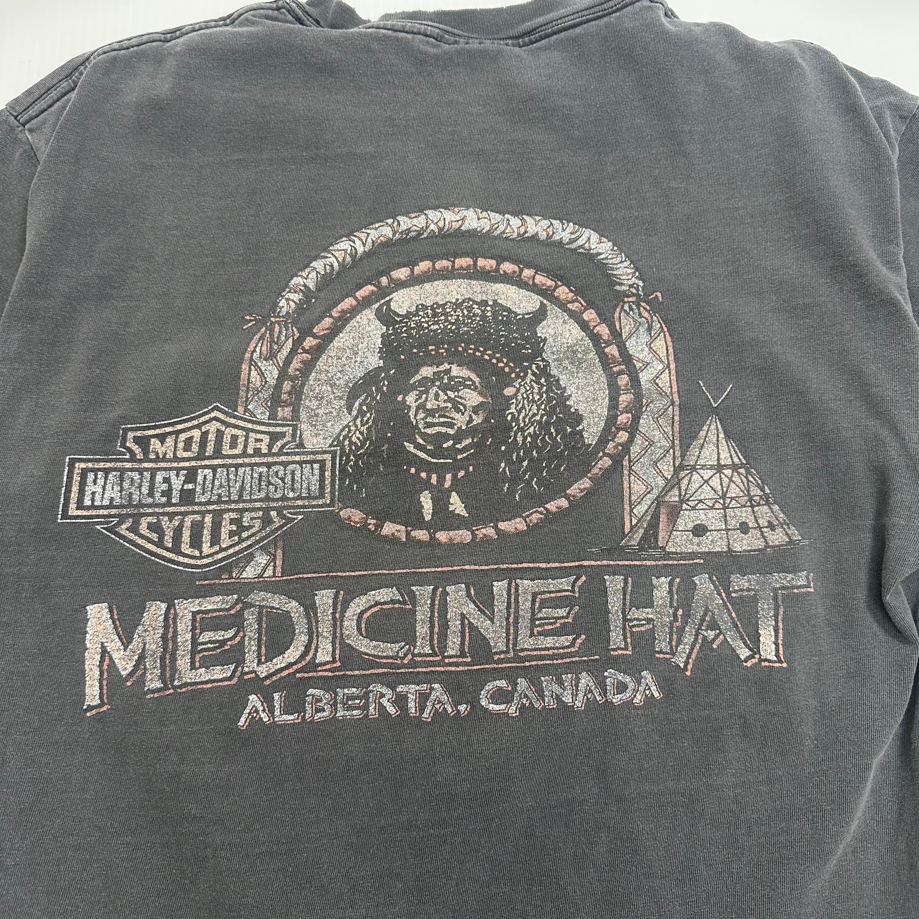 2001 Harley Davidson Medicine Hat Alberta Distressed Tee L