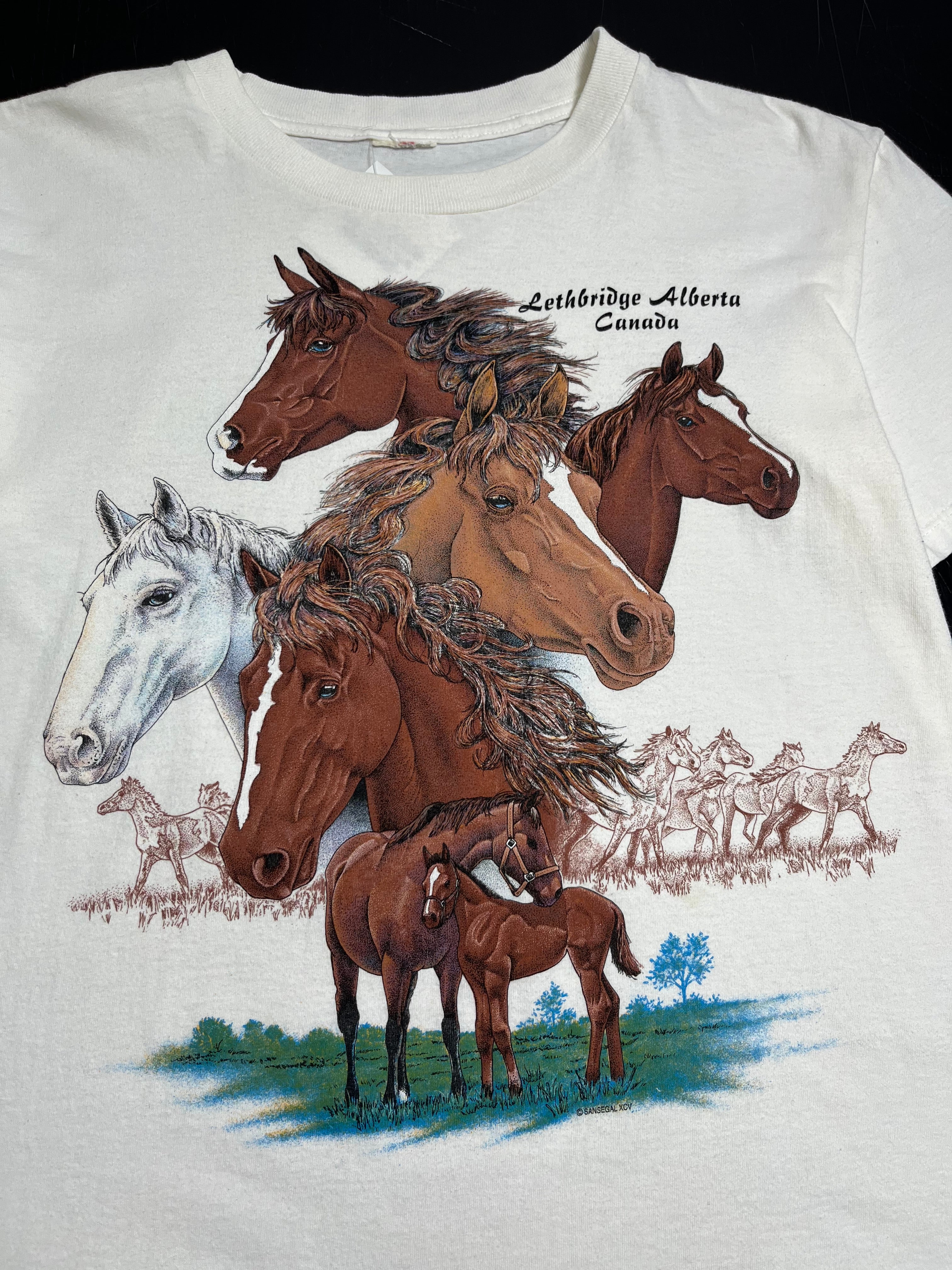 Vintage Lethbridge Alberta Horses Tee XL