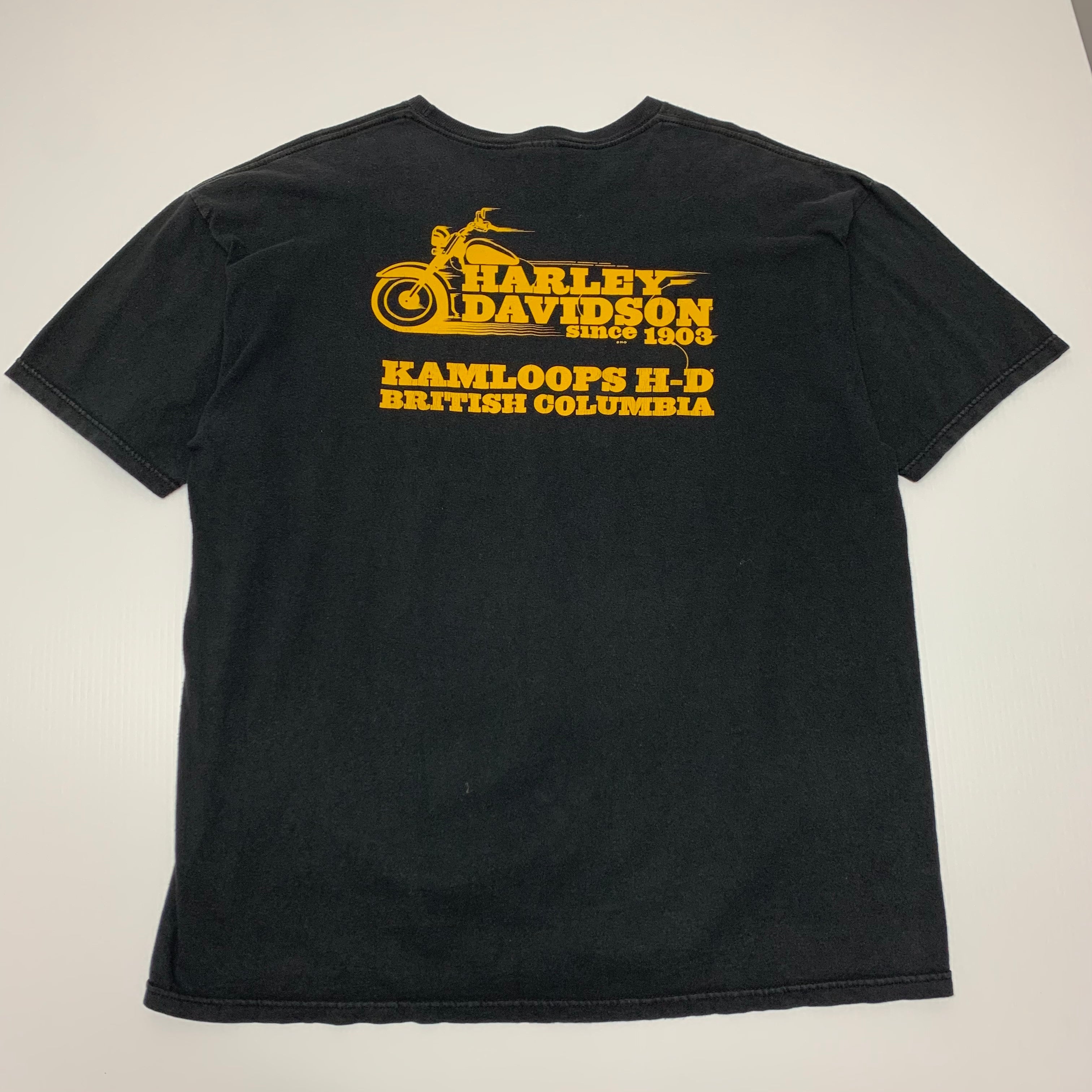 Harley Davidson Passion Freedom tee XL