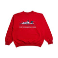 90s Northern Reflections Duck Crewneck M