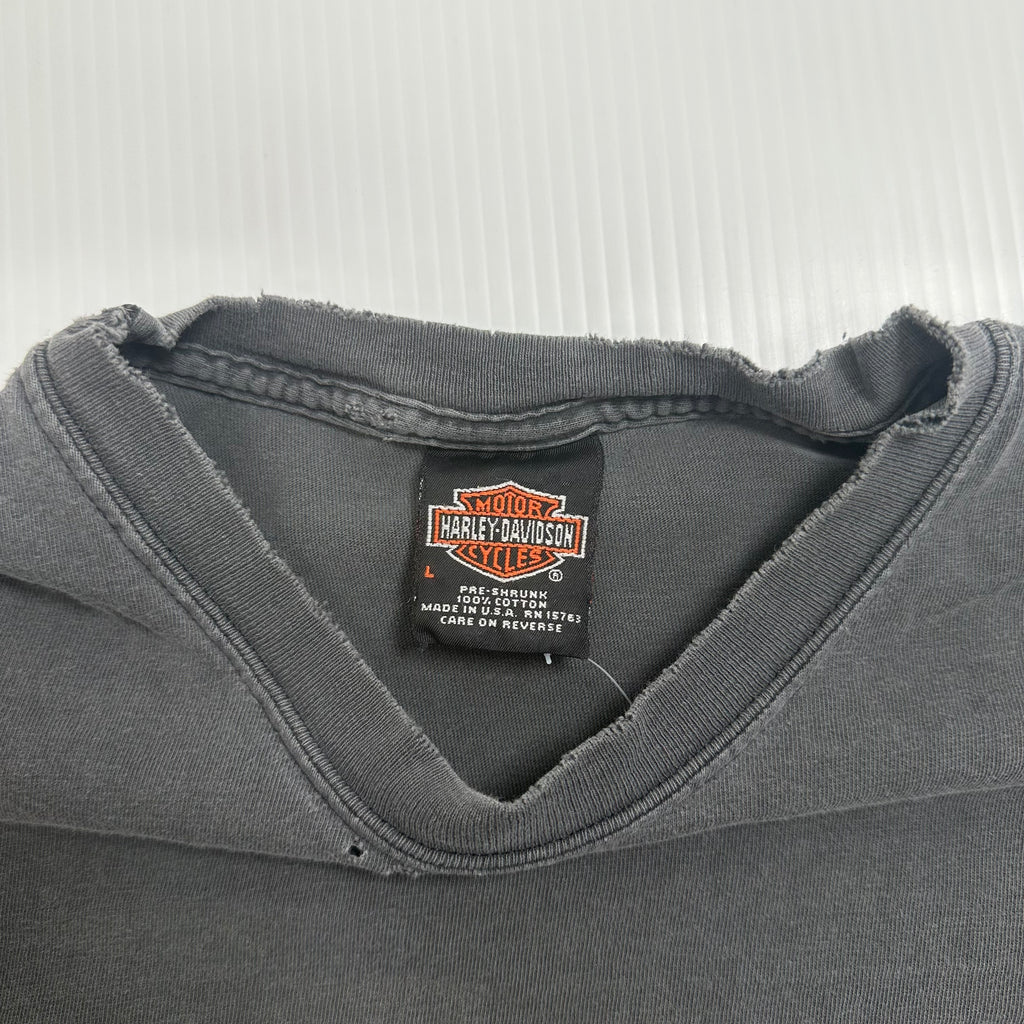 2001 Harley Davidson Medicine Hat Alberta Distressed Tee L