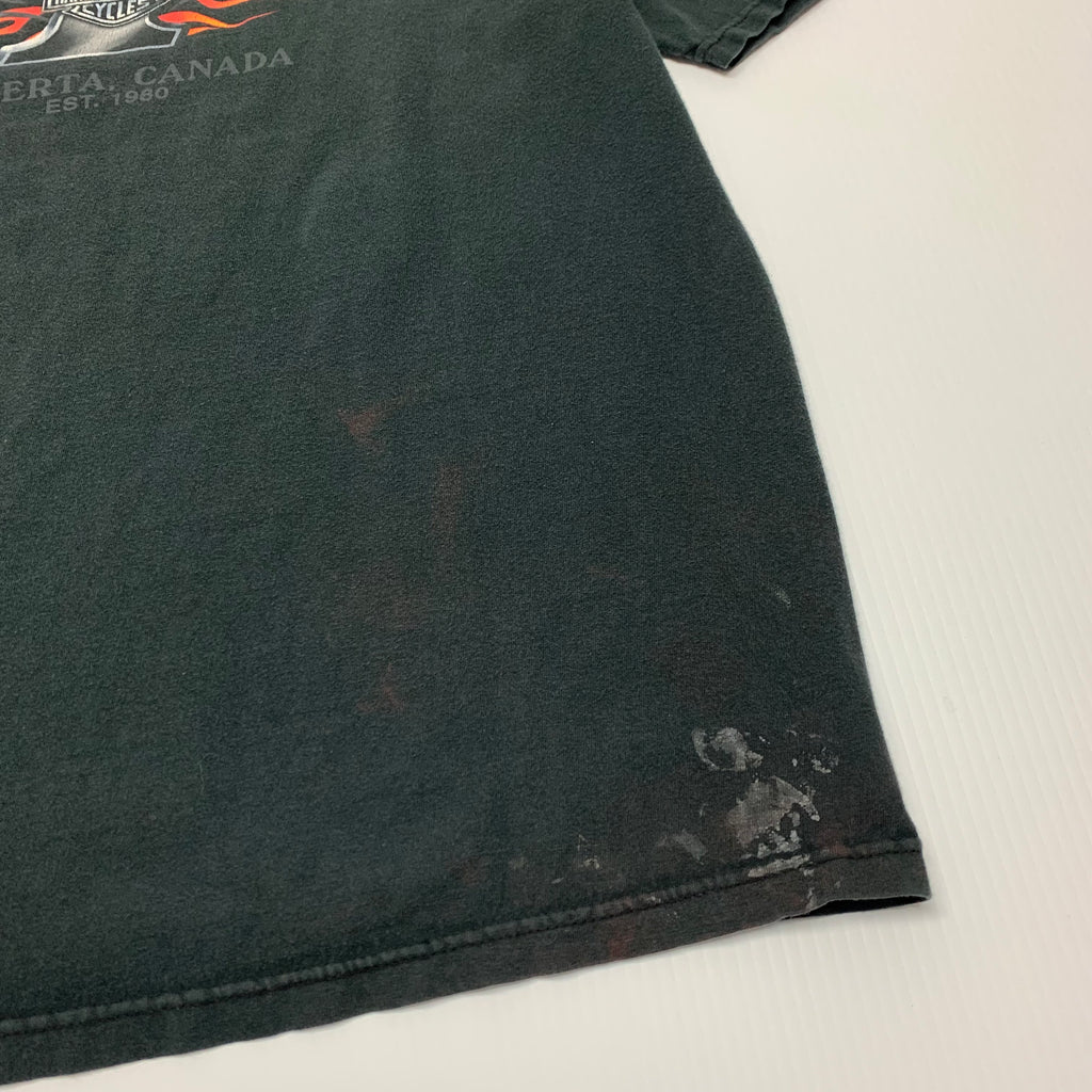 Harley Davidson If I Have to Explain tee XL