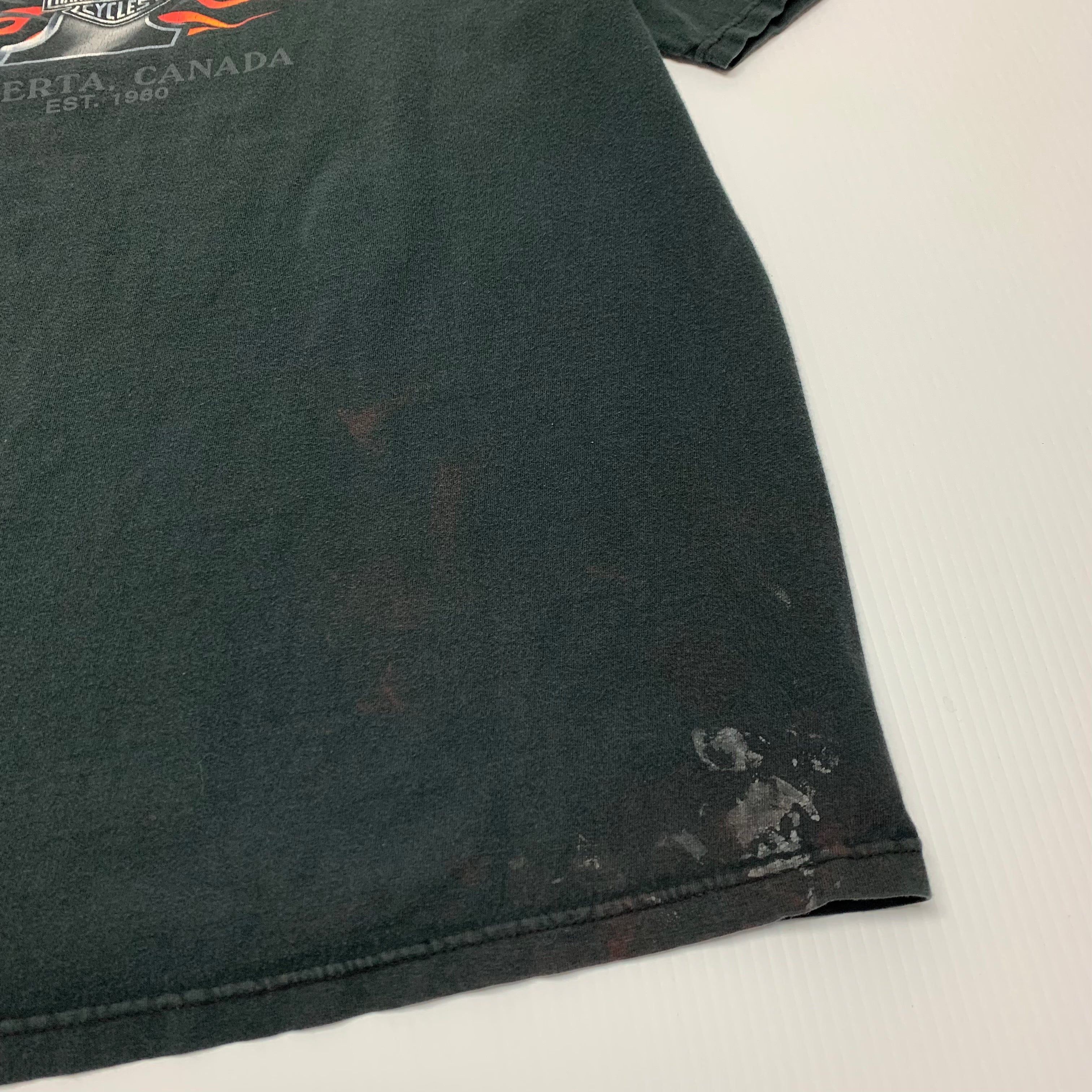 Harley Davidson If I Have to Explain tee XL