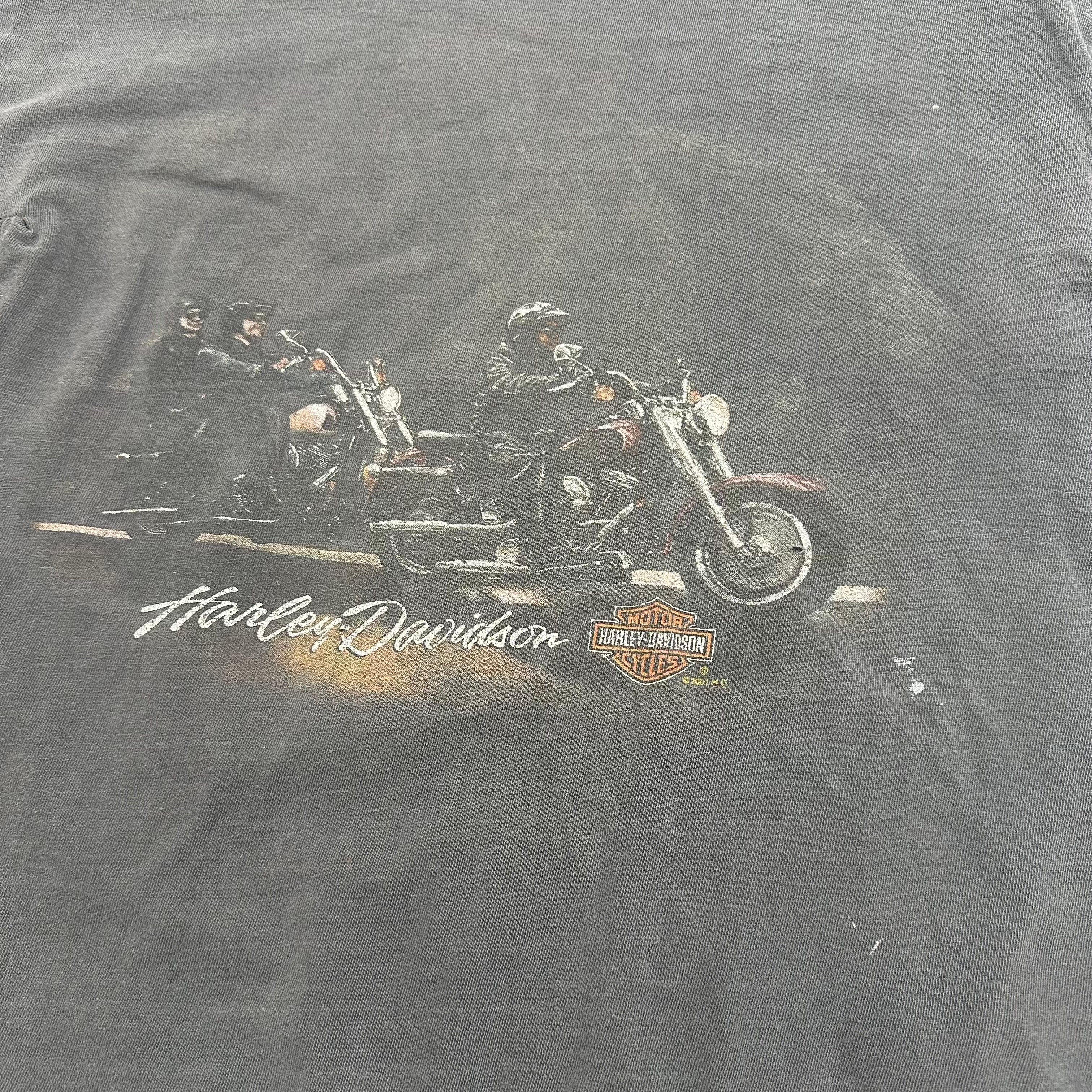 2001 Harley Davidson Medicine Hat Alberta Distressed Tee L
