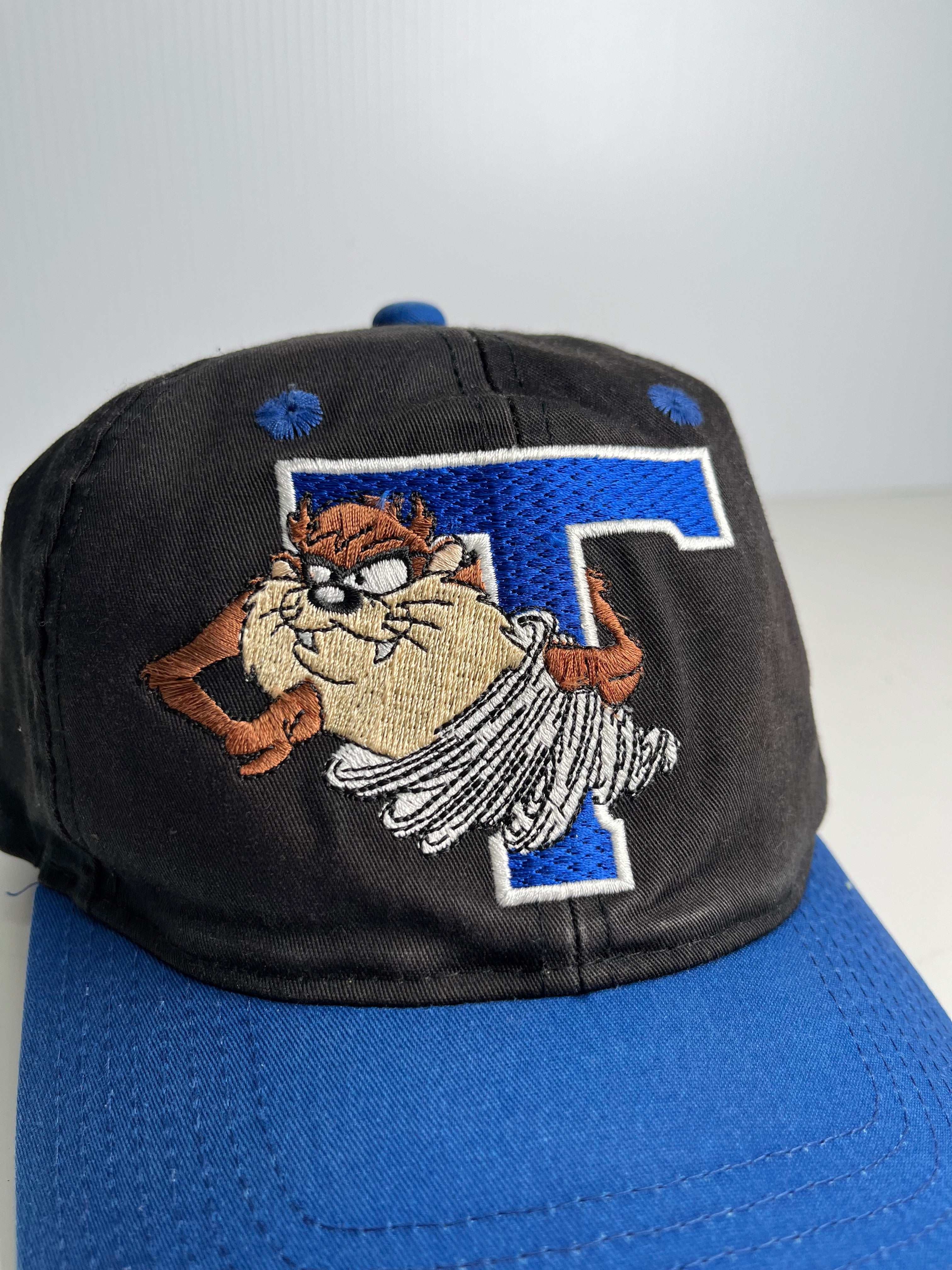 Vintage Looney Tunes Taz Snapback Hat