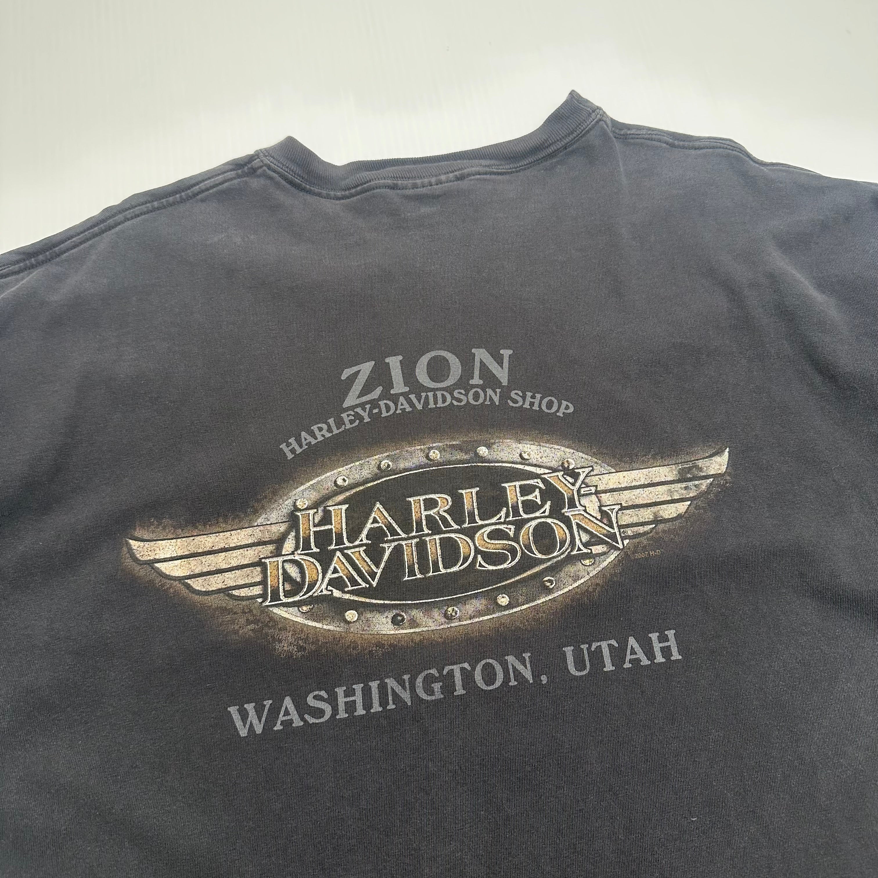 Harley Davidson Zion Utah Tee XXL
