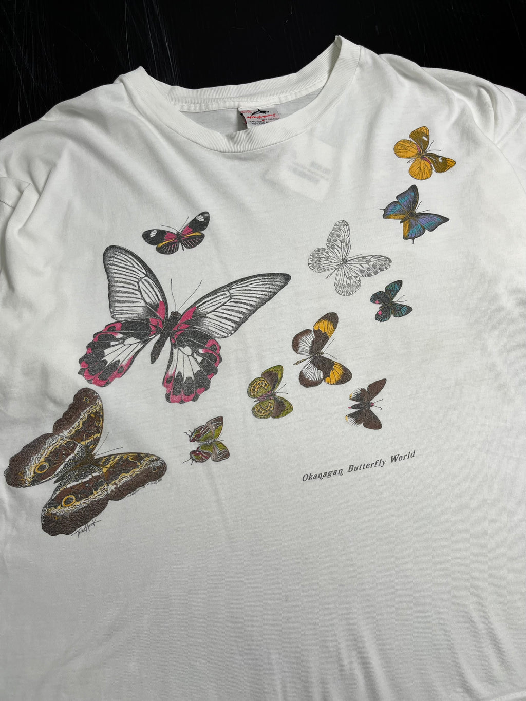 90s Okanagan Butterfly World AOP Tee XL