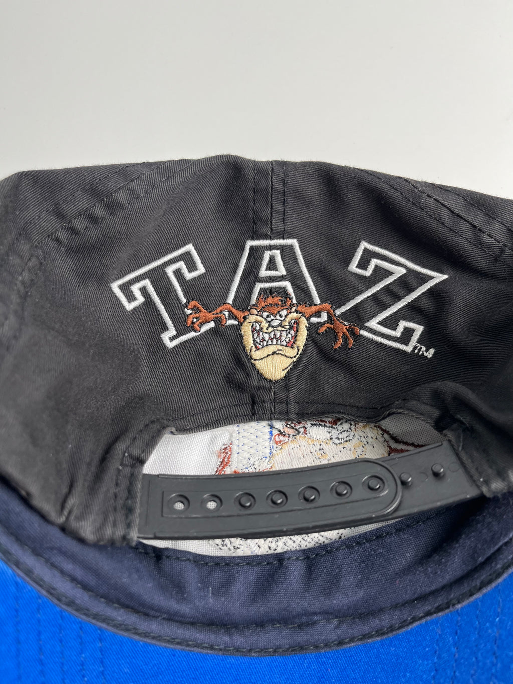 Vintage Looney Tunes Taz Snapback Hat