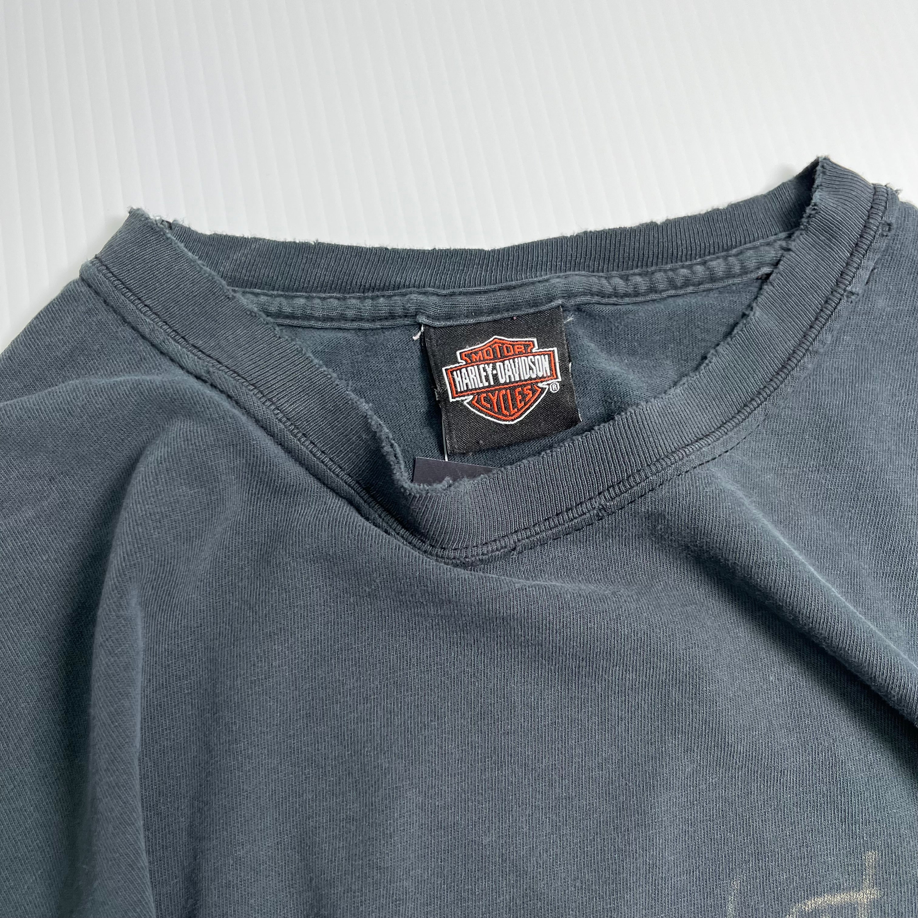 2005 Harley Davidson Chilkoot Alaska Tee L
