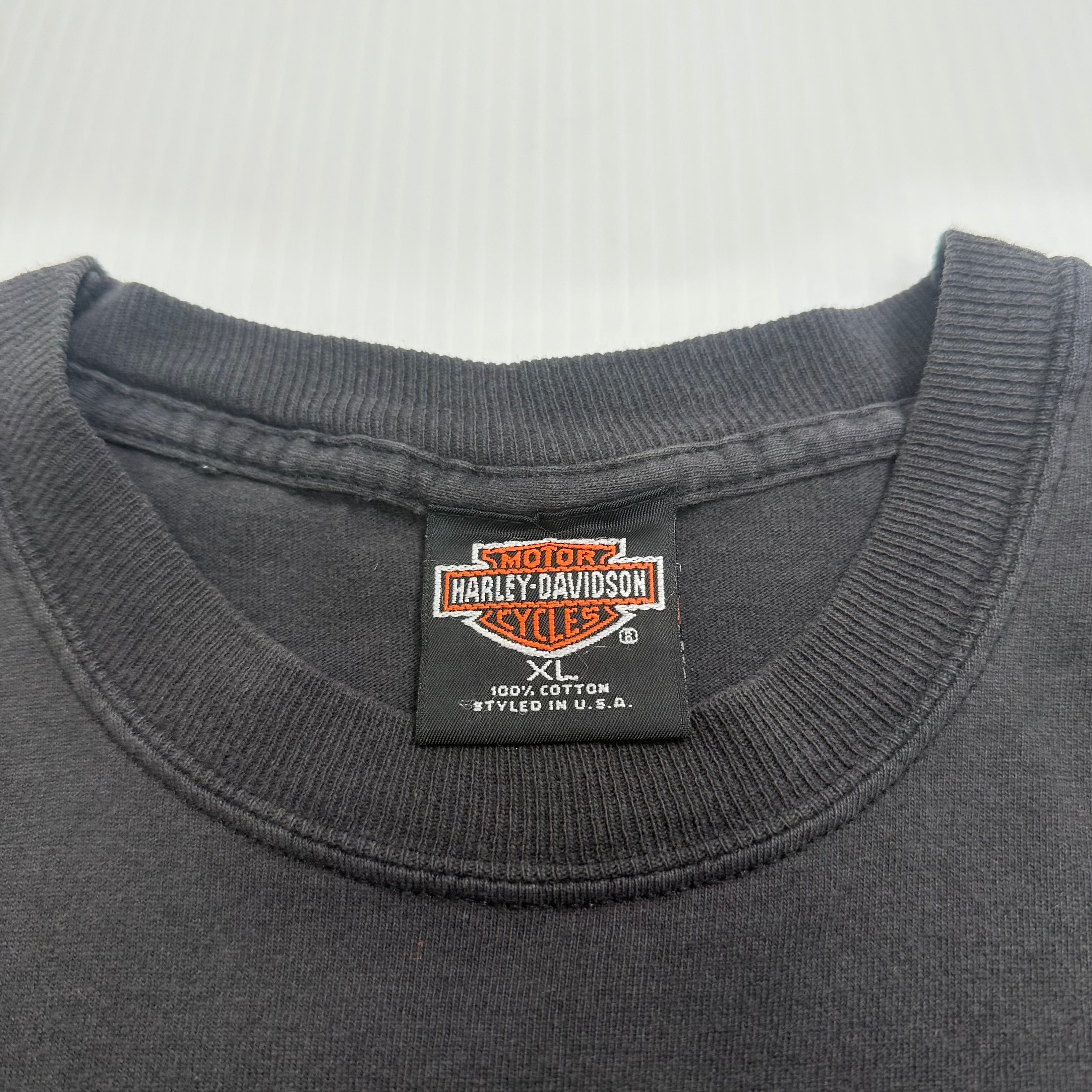 Vintage Harley Davidson Engine Evolution Oman Faded Tee XL