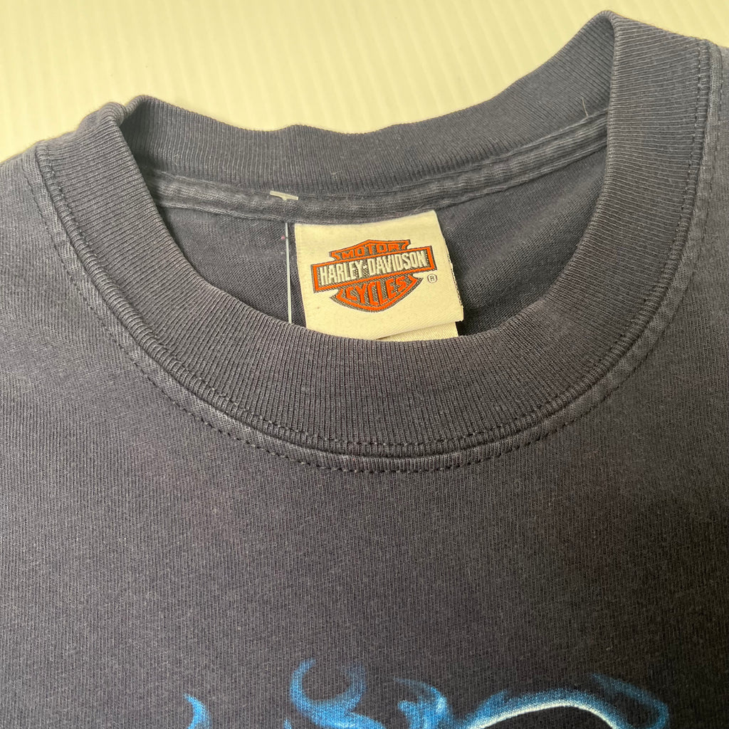 2004 Harley Davidson Denver Graphic Tee M