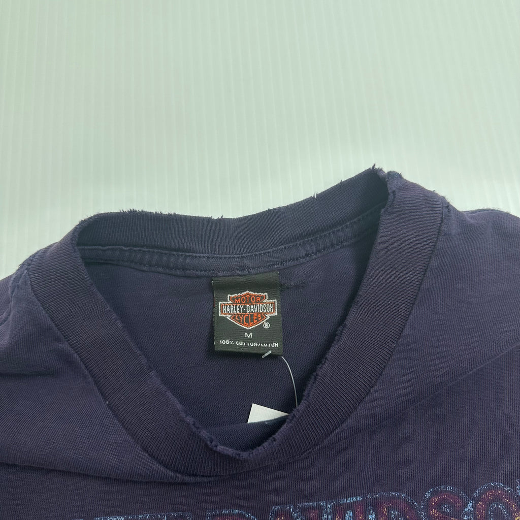 Vintage Harley Davidson Gettysburg Distressed Tee M