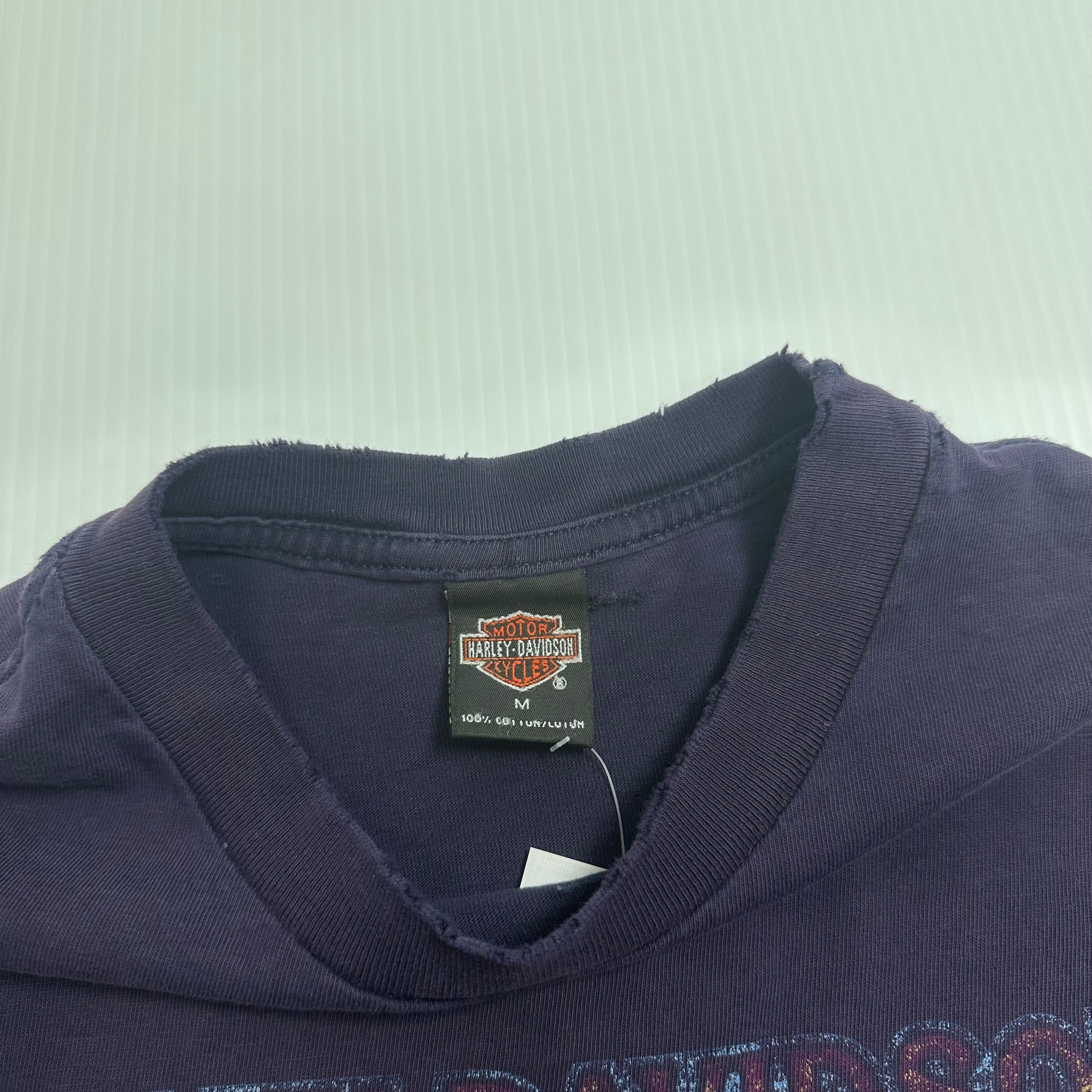 Vintage Harley Davidson Gettysburg Distressed Tee M