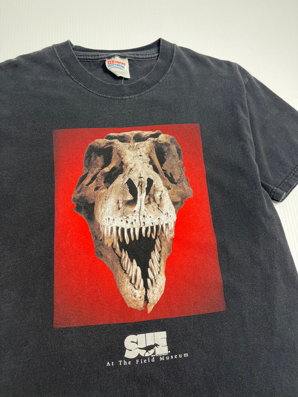 1997 Sue T-Rex Museum Tee M