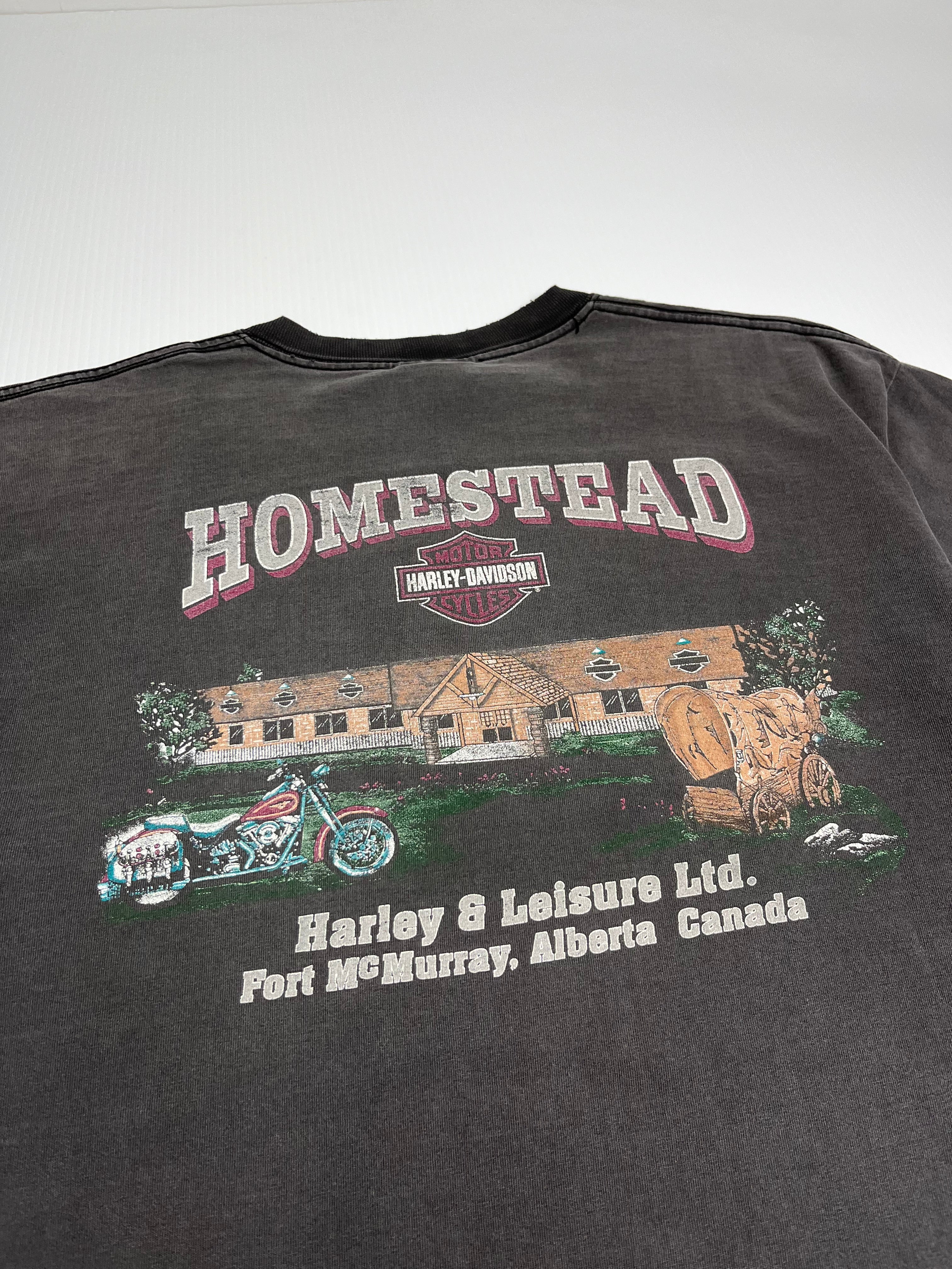 90s Harley Davidson Homestead Tee L