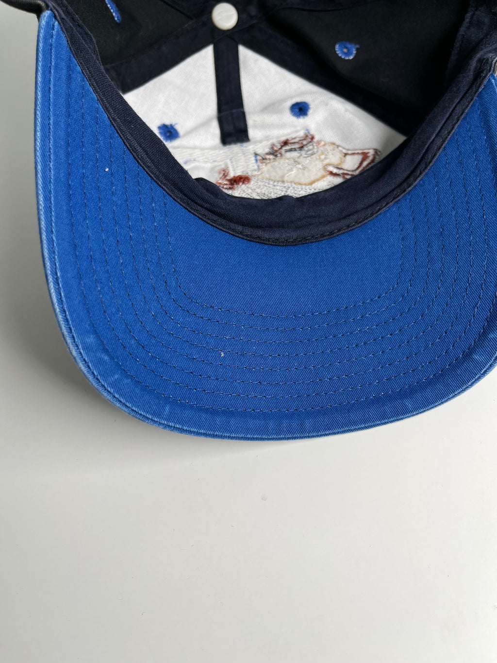 Vintage Looney Tunes Taz Snapback Hat