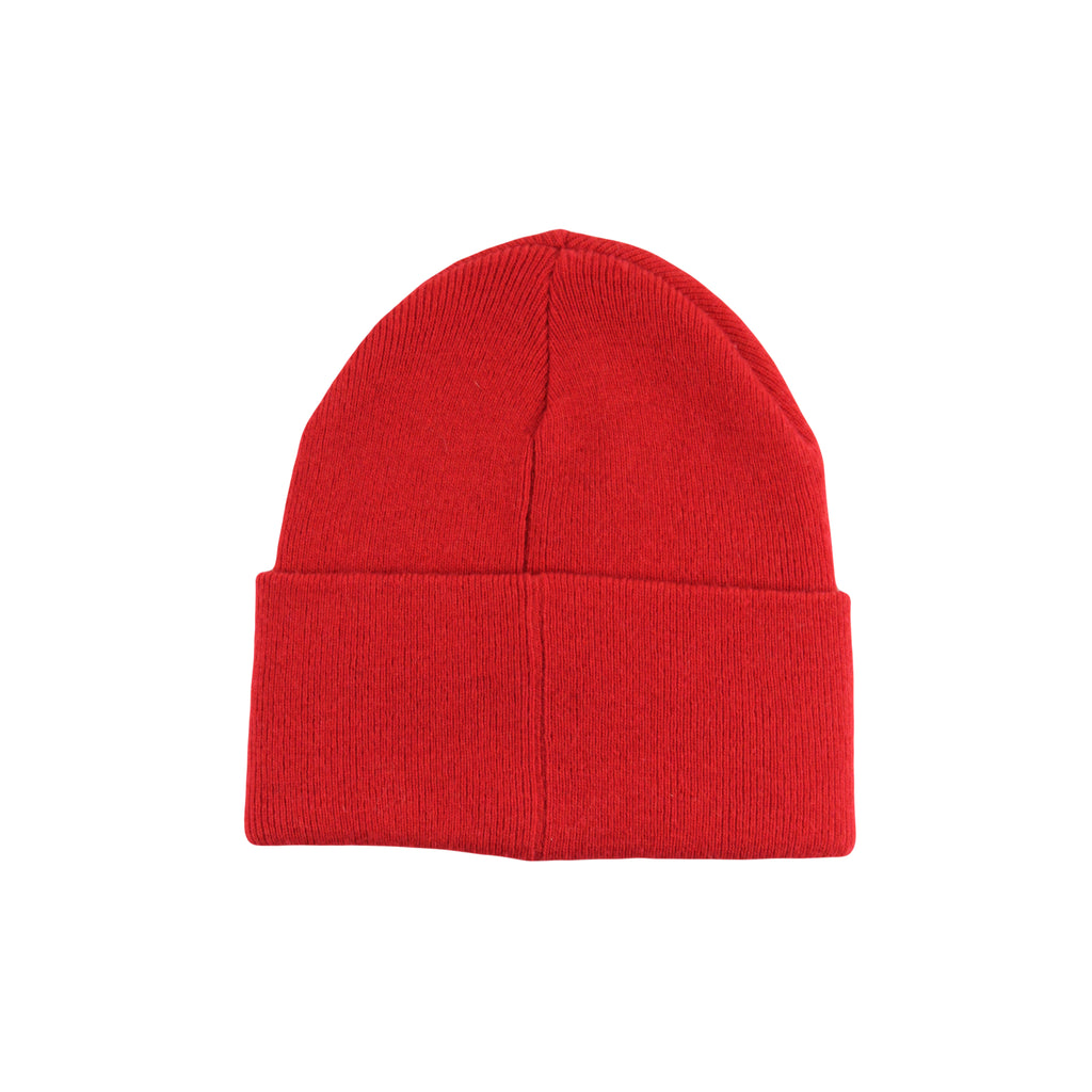 Polo Ralph Lauren Basketball Bear Beanie