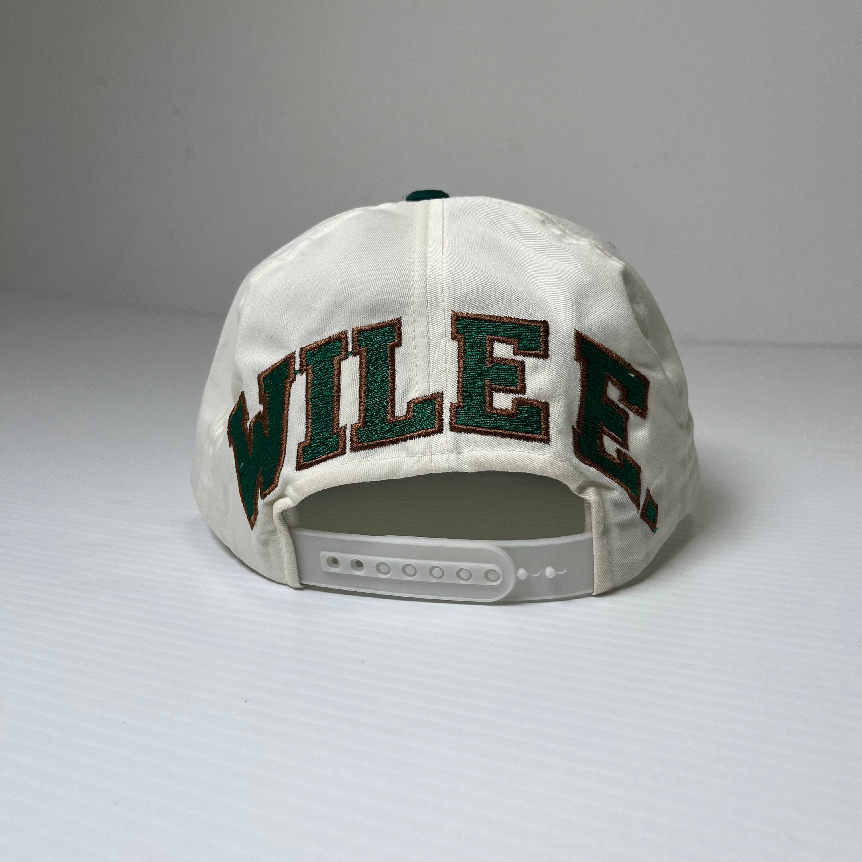 90s American Needle Wile E Coyote Blockhead Snapback Hat