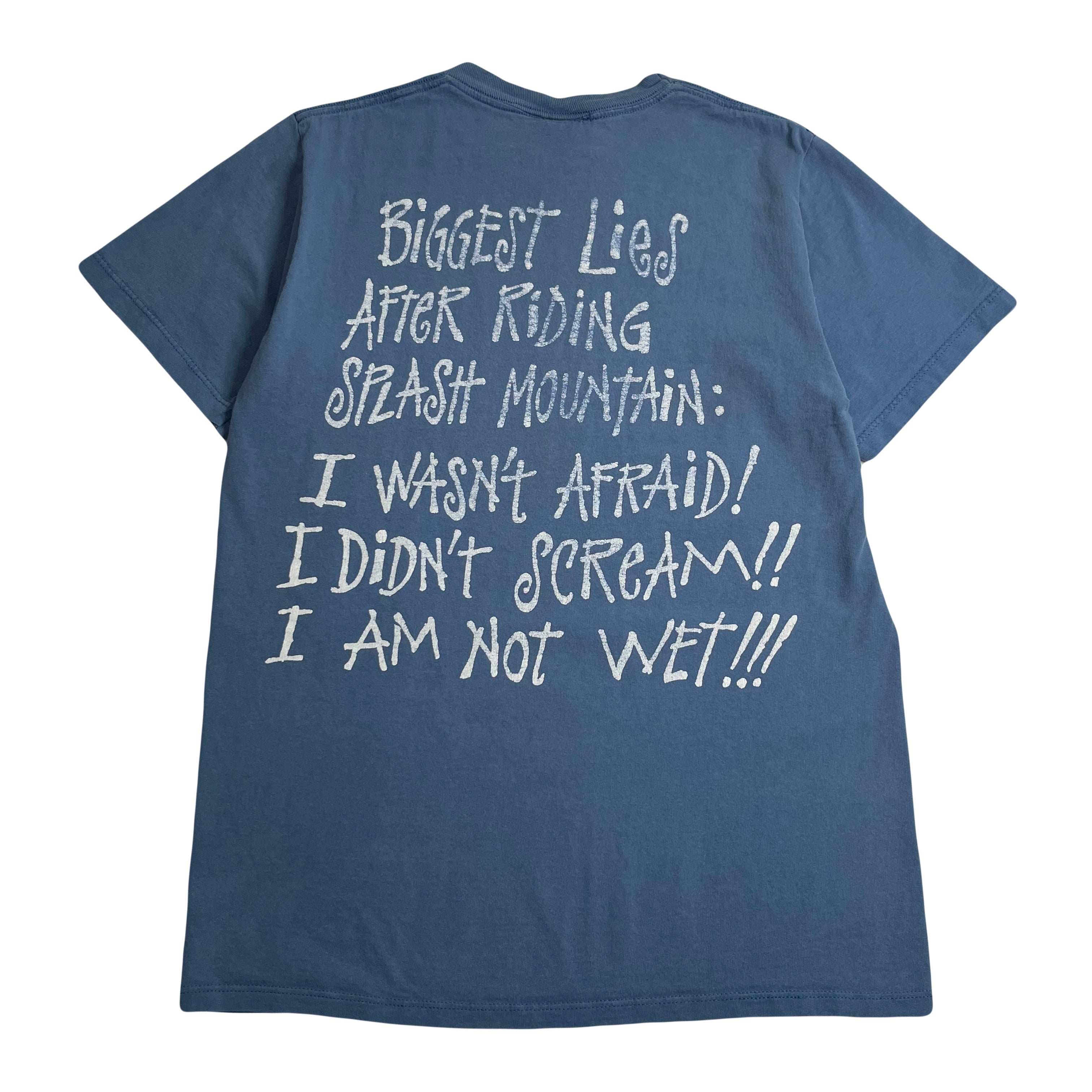 Vintage Disney Splash Mountain Tee M