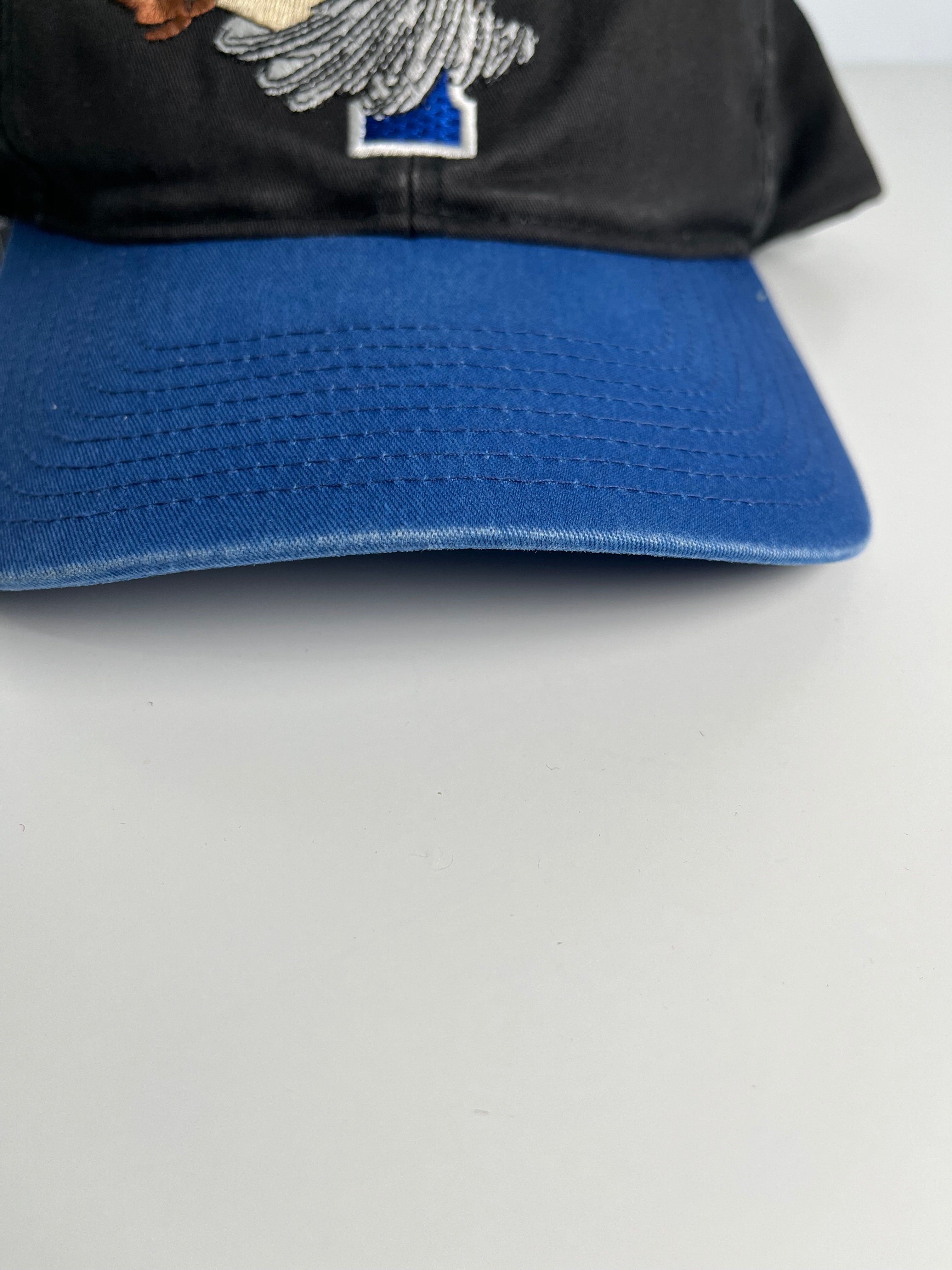 Vintage Looney Tunes Taz Snapback Hat
