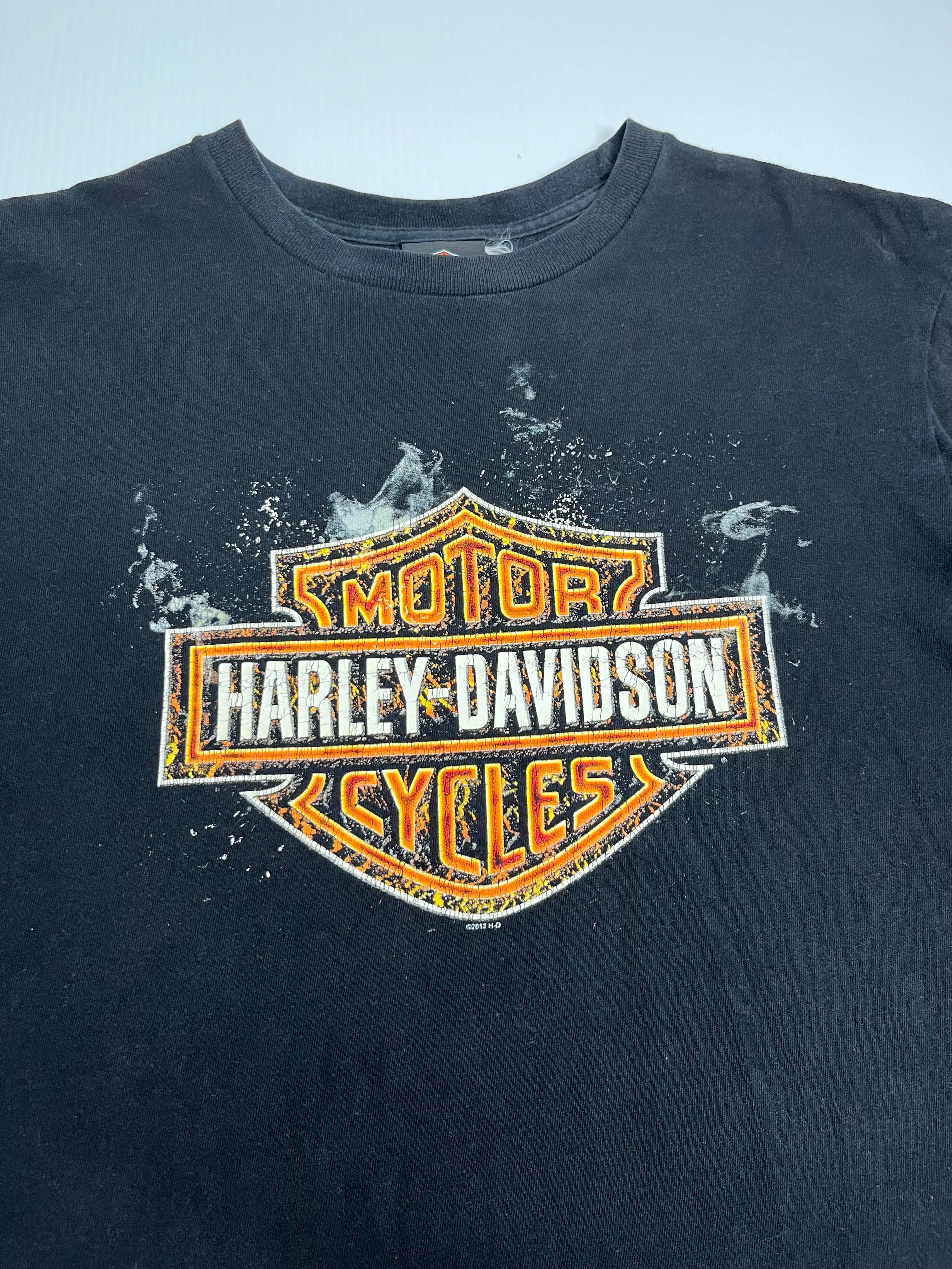 Harley Davidson Kamloops BC Tee L