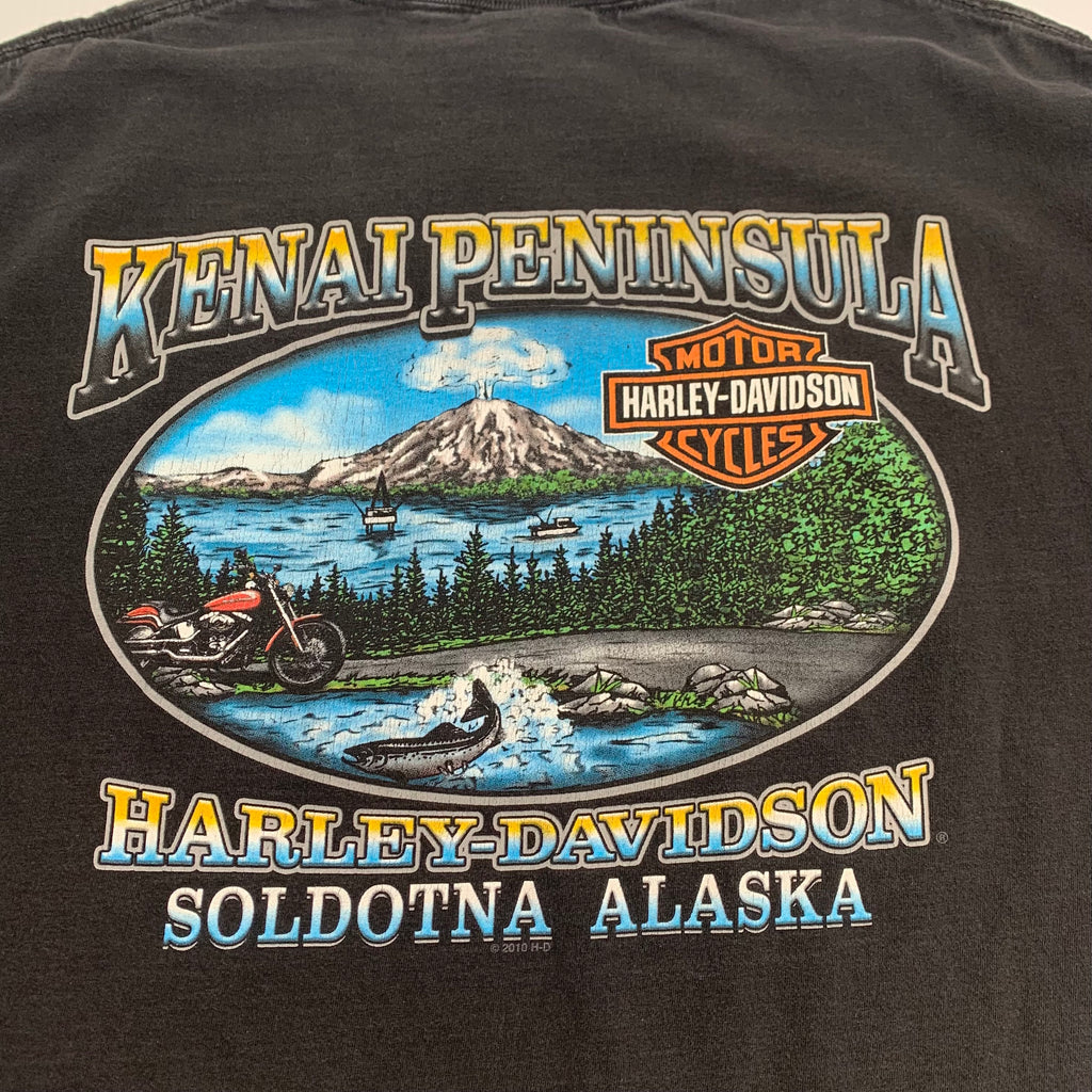 Harley Alaska Proud & Fearless Tee XL