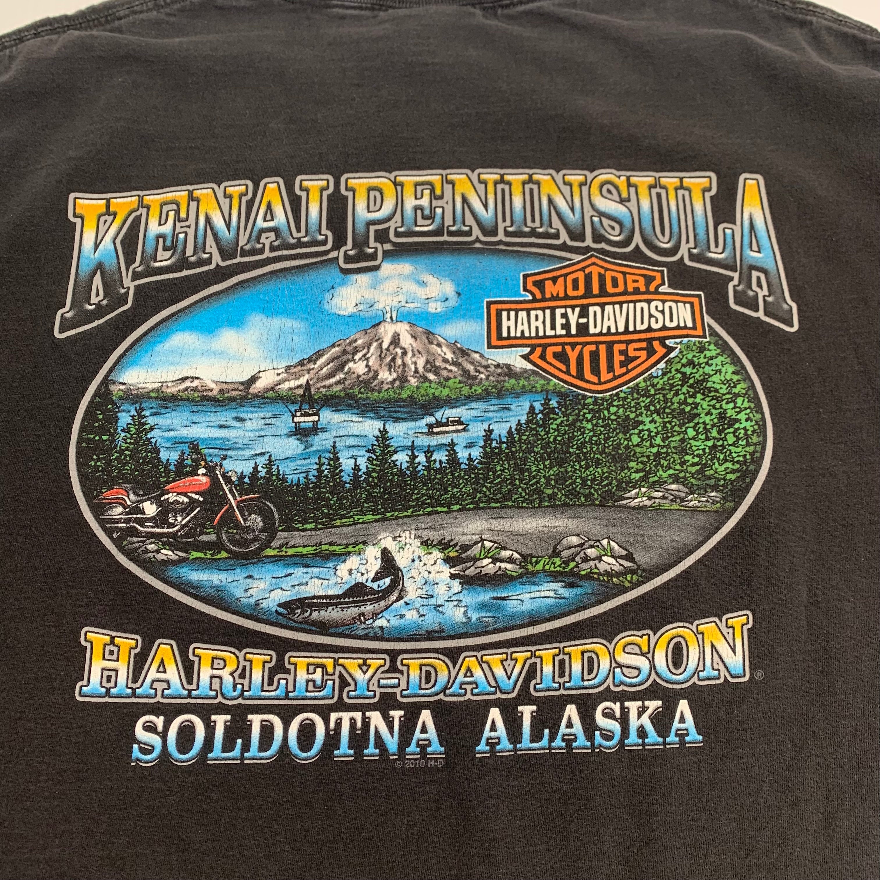 Harley Alaska Proud & Fearless Tee XL