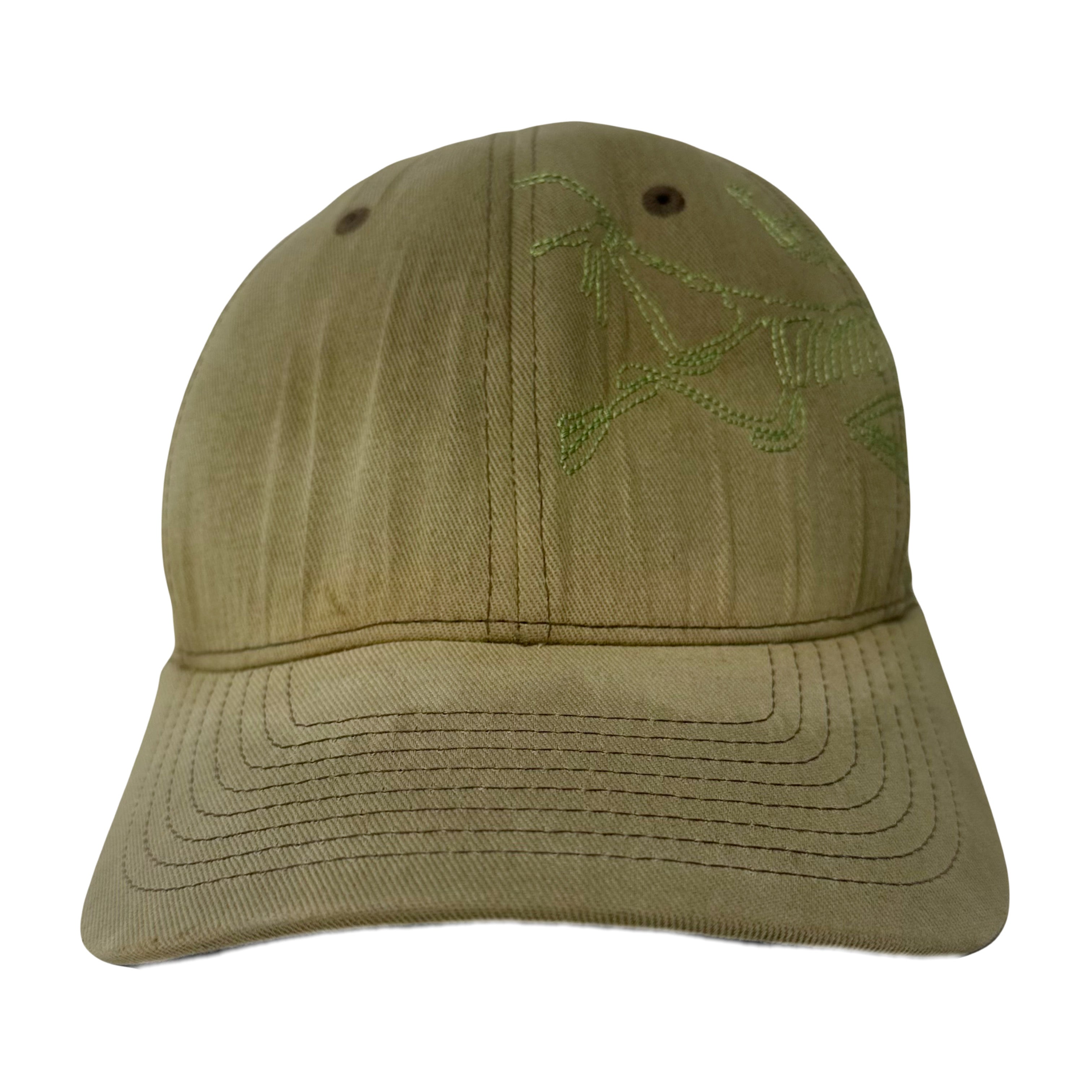 Arc'teryx Faded Big Logo Fitted Hat