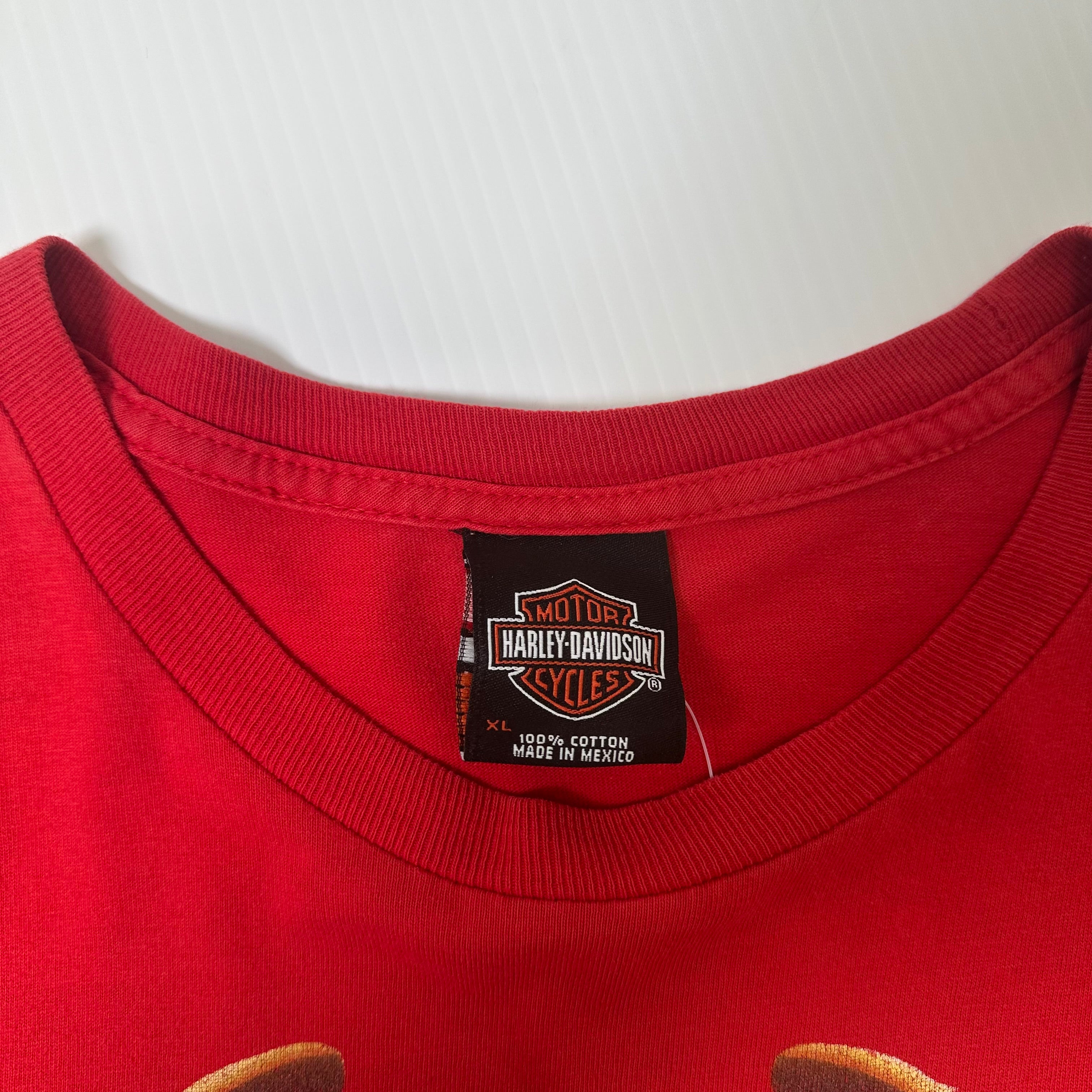 Harley Davidson Eagle Flame Montana Graphic Tee XL