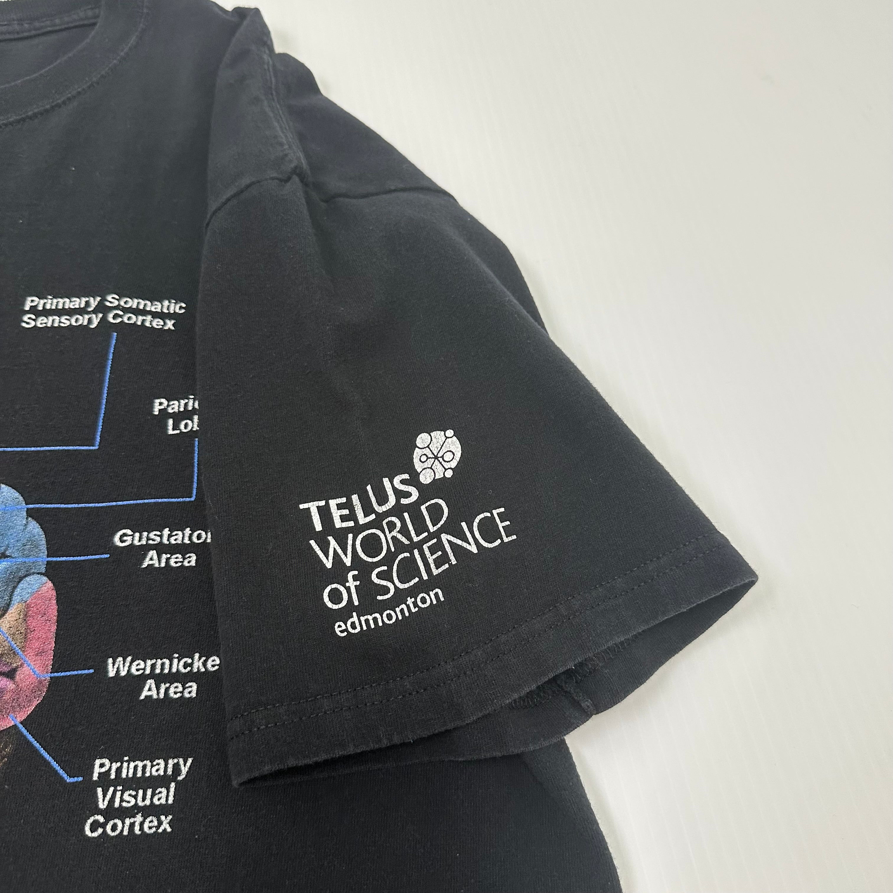 World Of Science Brain Diagram Tee XL