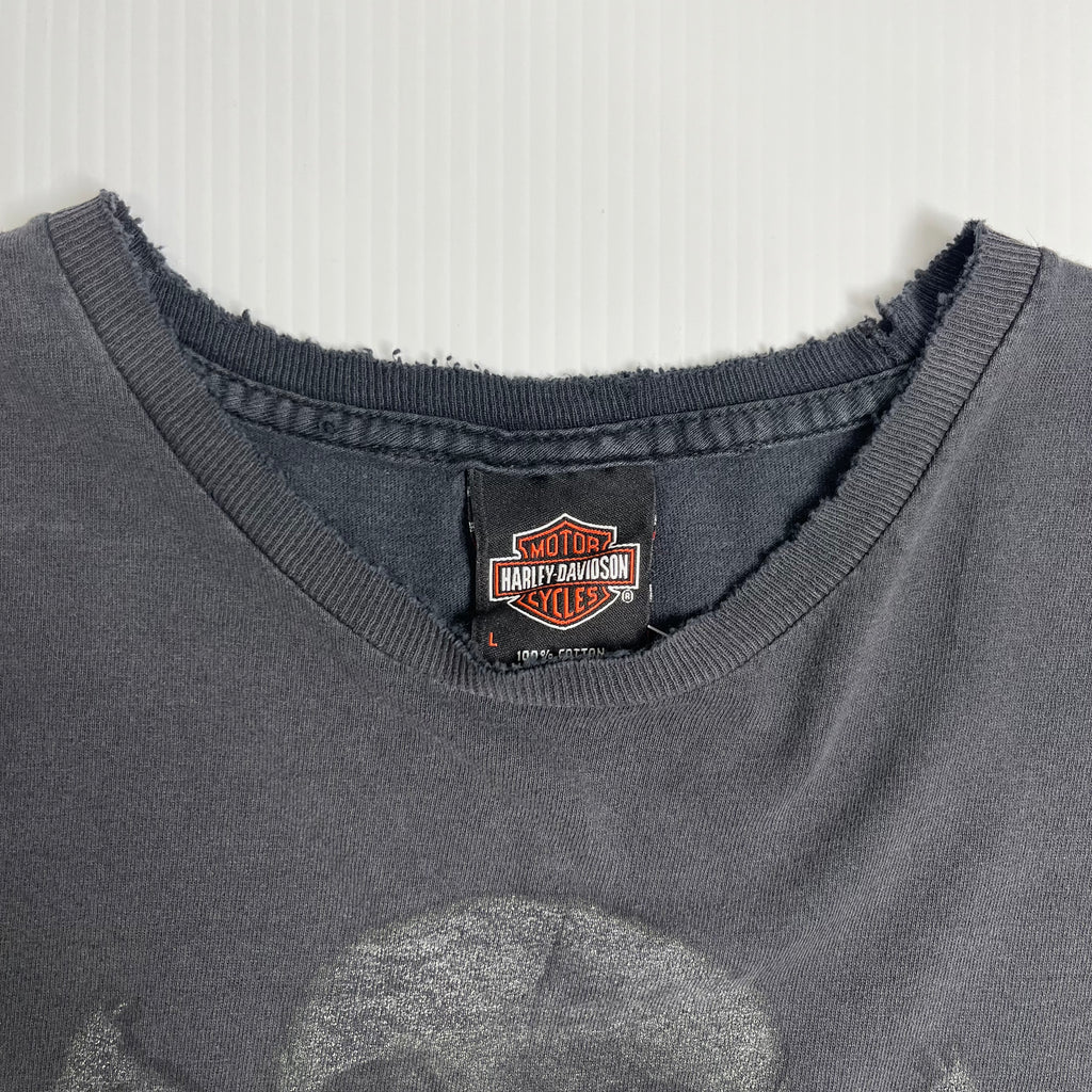 Harley Davidson Woodlands Texas Faded Graphic Tee L