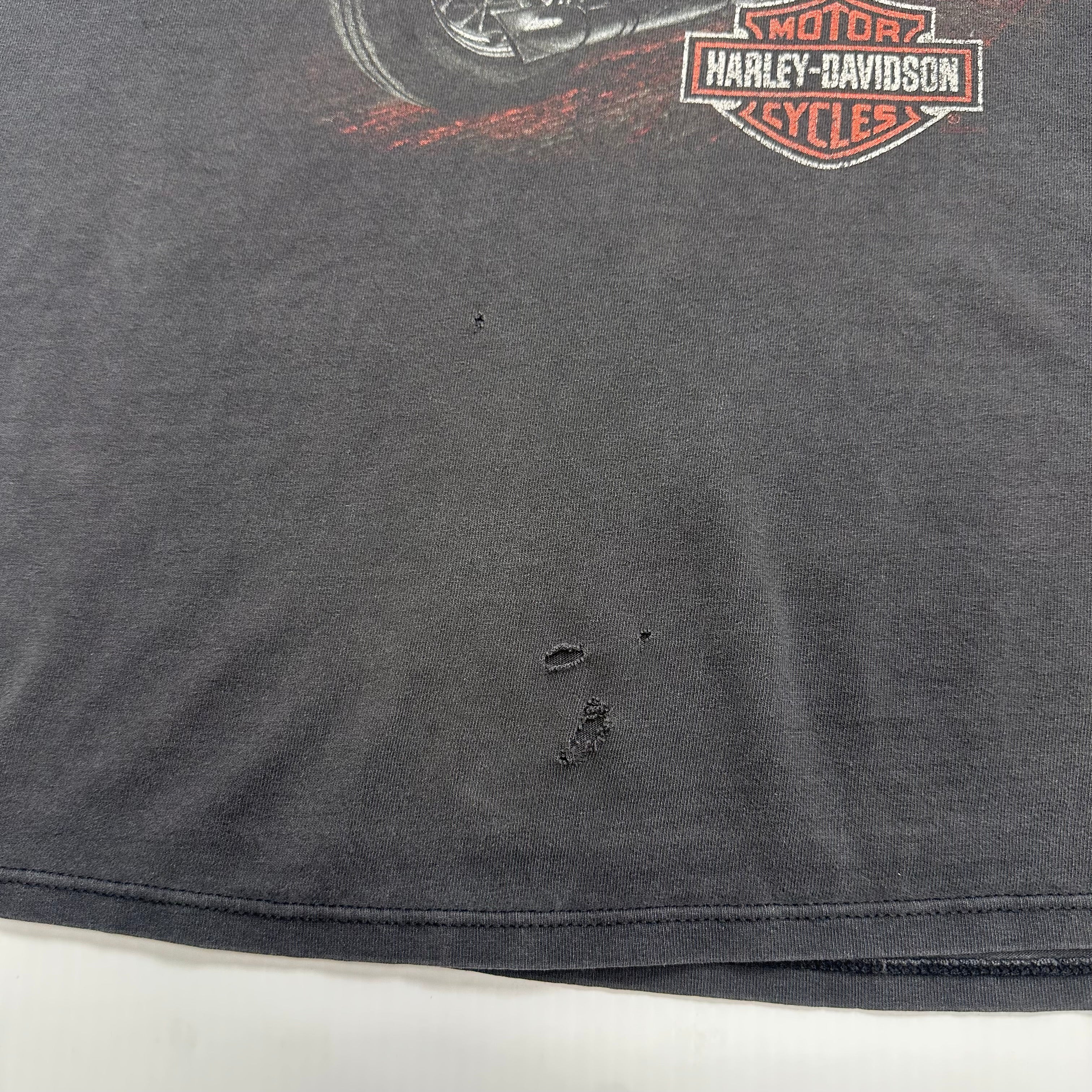 Vintage Harley Davidson Yorkton Saskatchewan Graphic Tee L