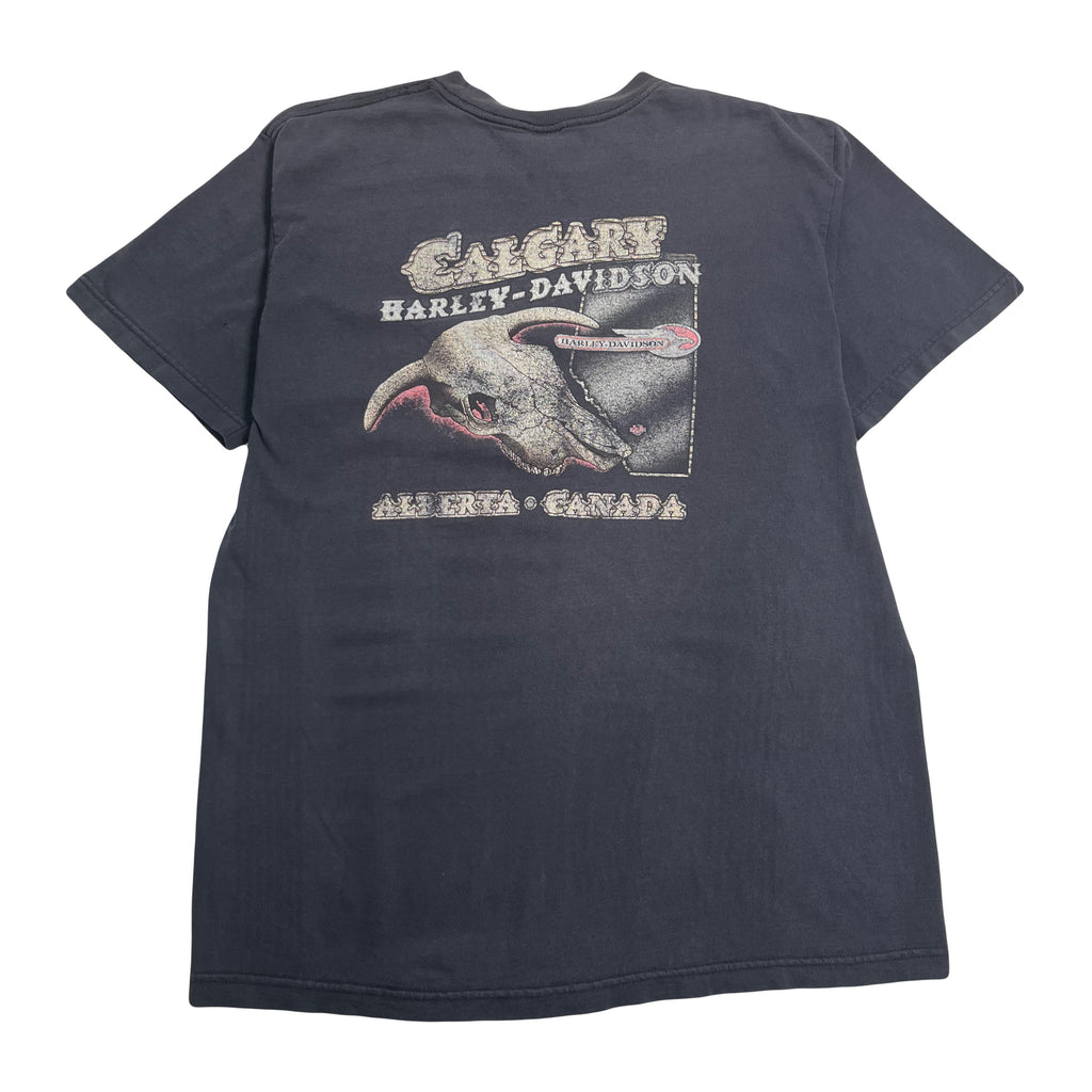 Vintage Harley Davidson Calgary Distressed Tee XL