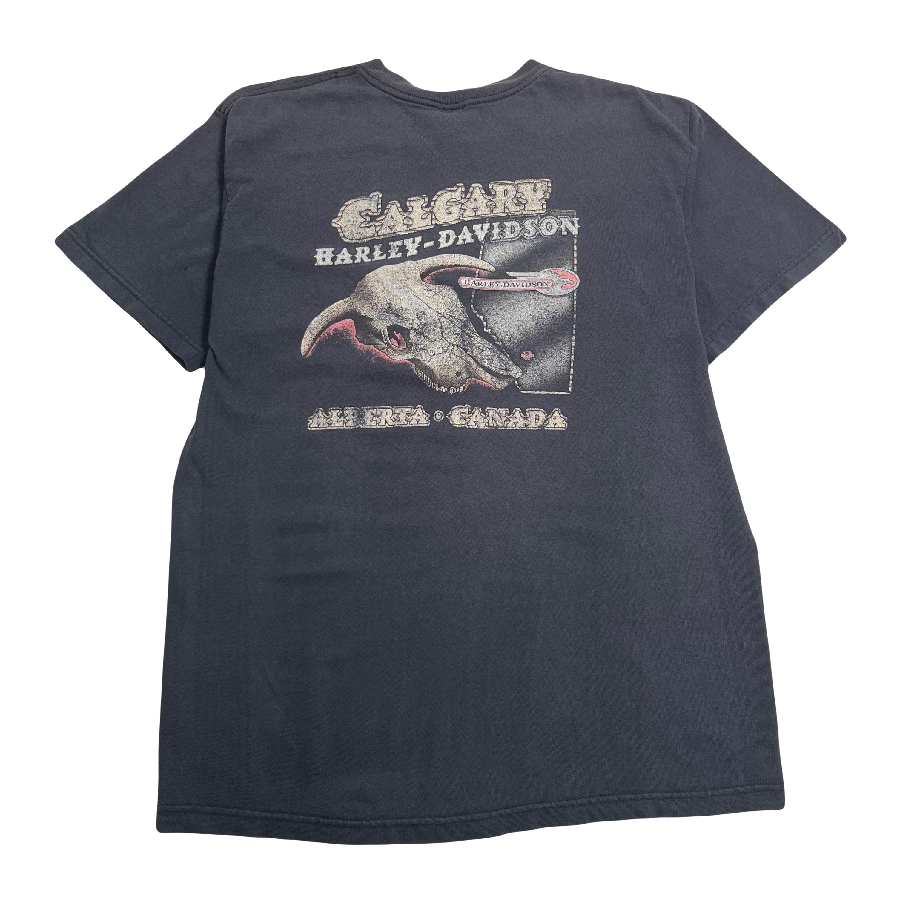 Vintage Harley Davidson Calgary Distressed Tee XL