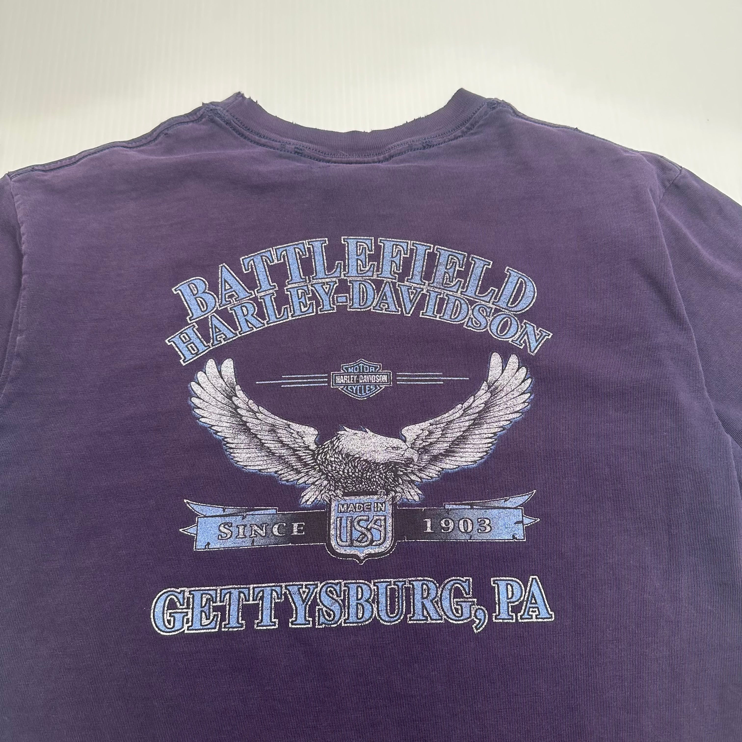 Vintage Harley Davidson Gettysburg Distressed Tee M