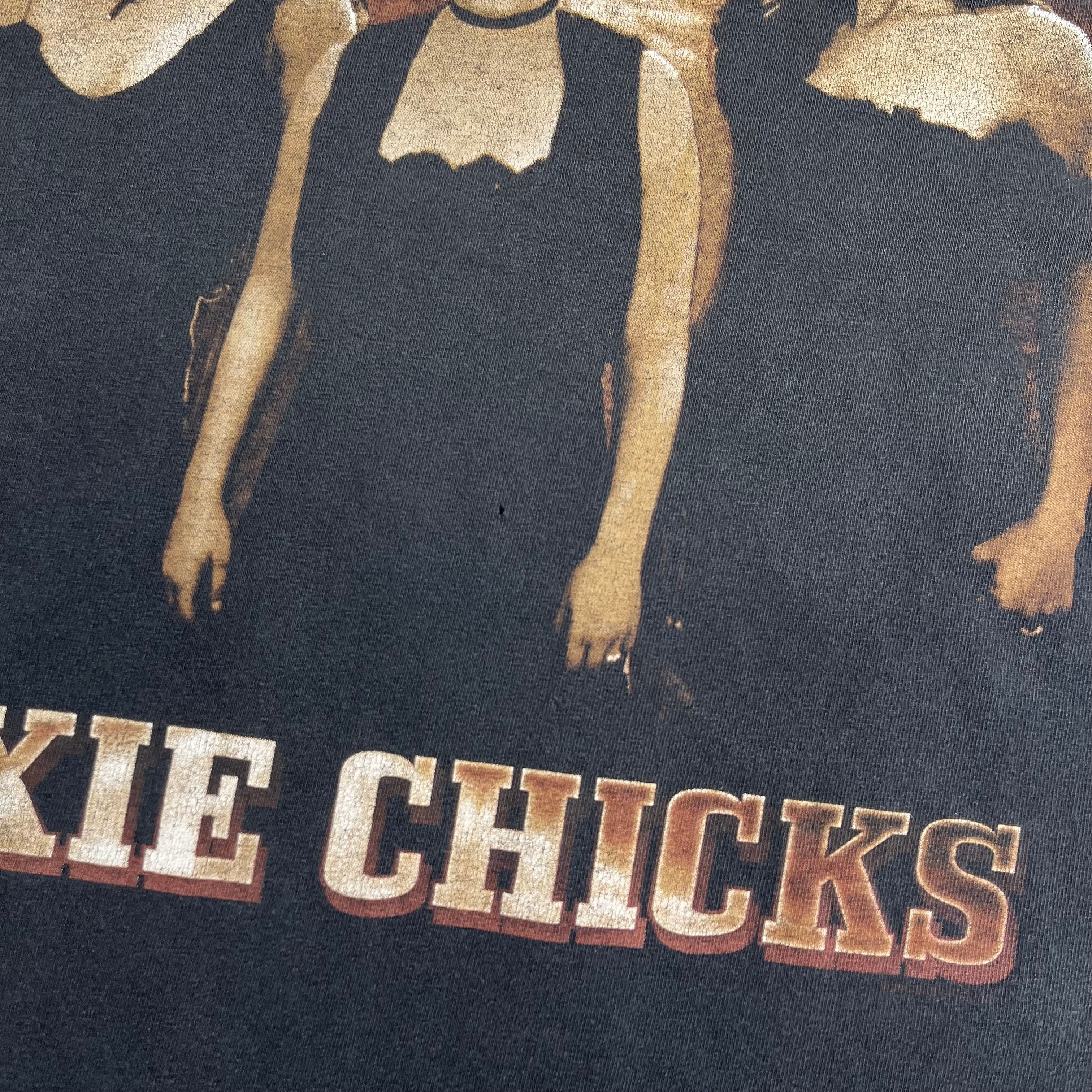 2003 Dixie Chicks Top of the World Tour Tee M