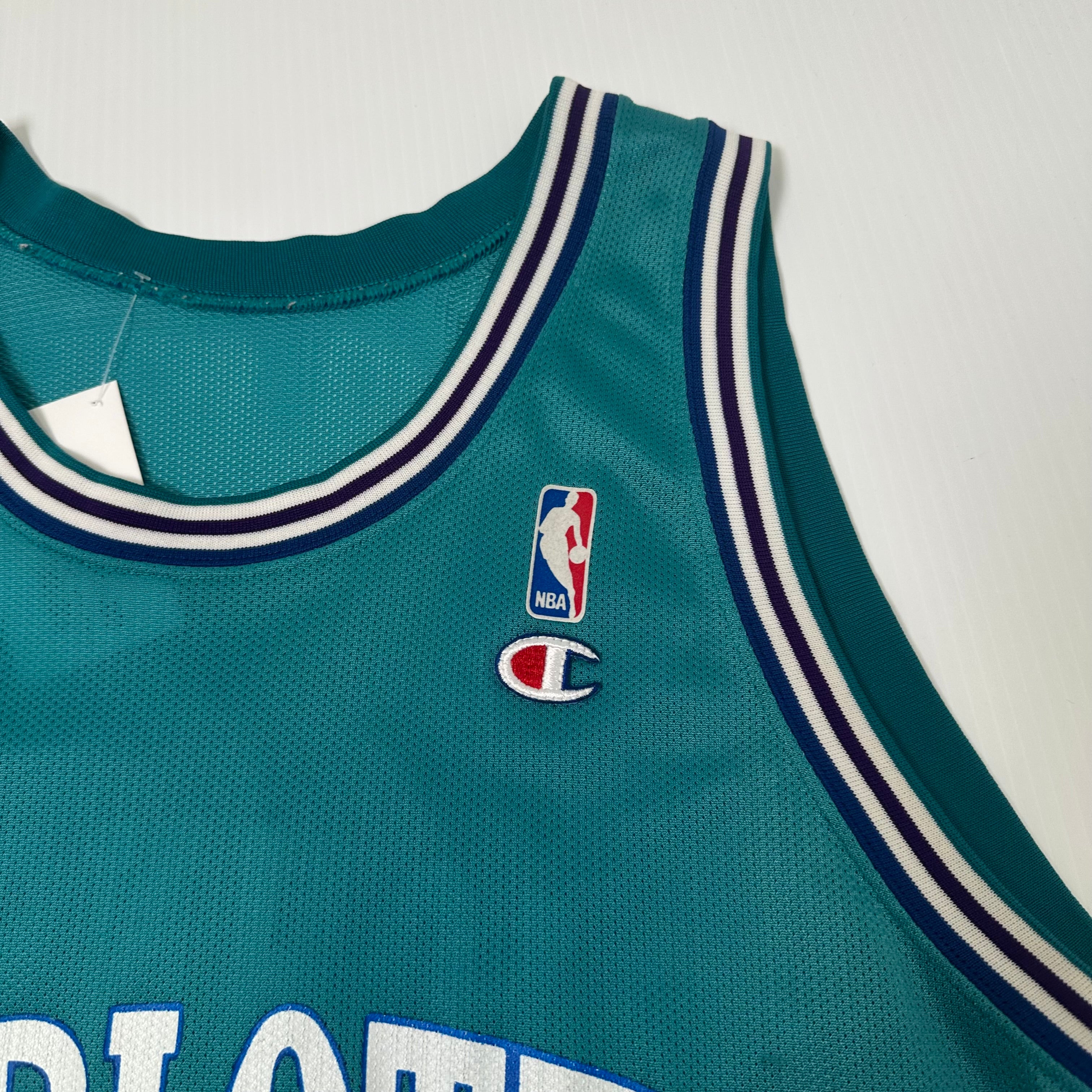 Vintage Champion Charlotte Hornets Johnson #2 NBA Jersey XL